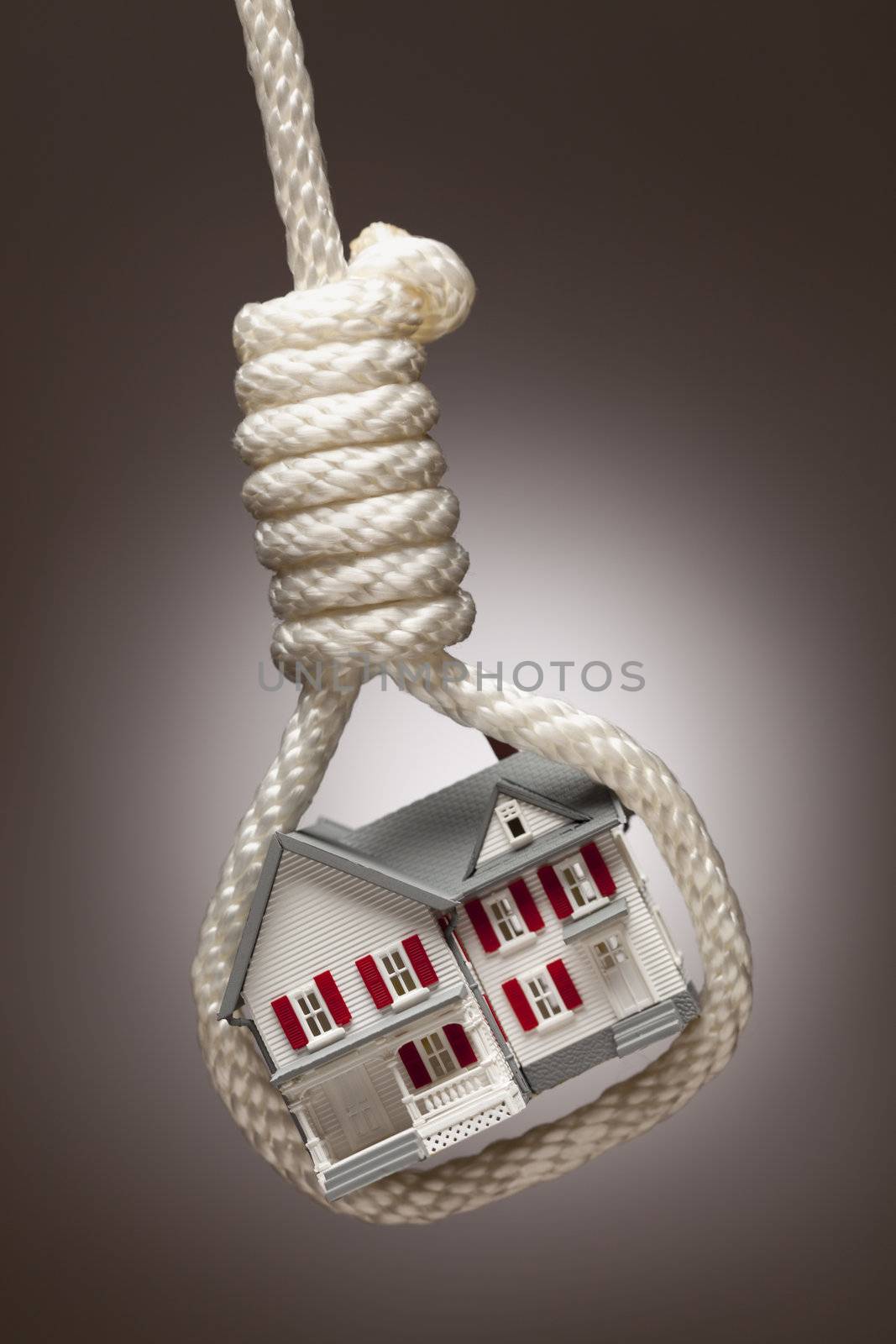 House Tied Up and Hanging in Hangman's Noose on by Feverpitched