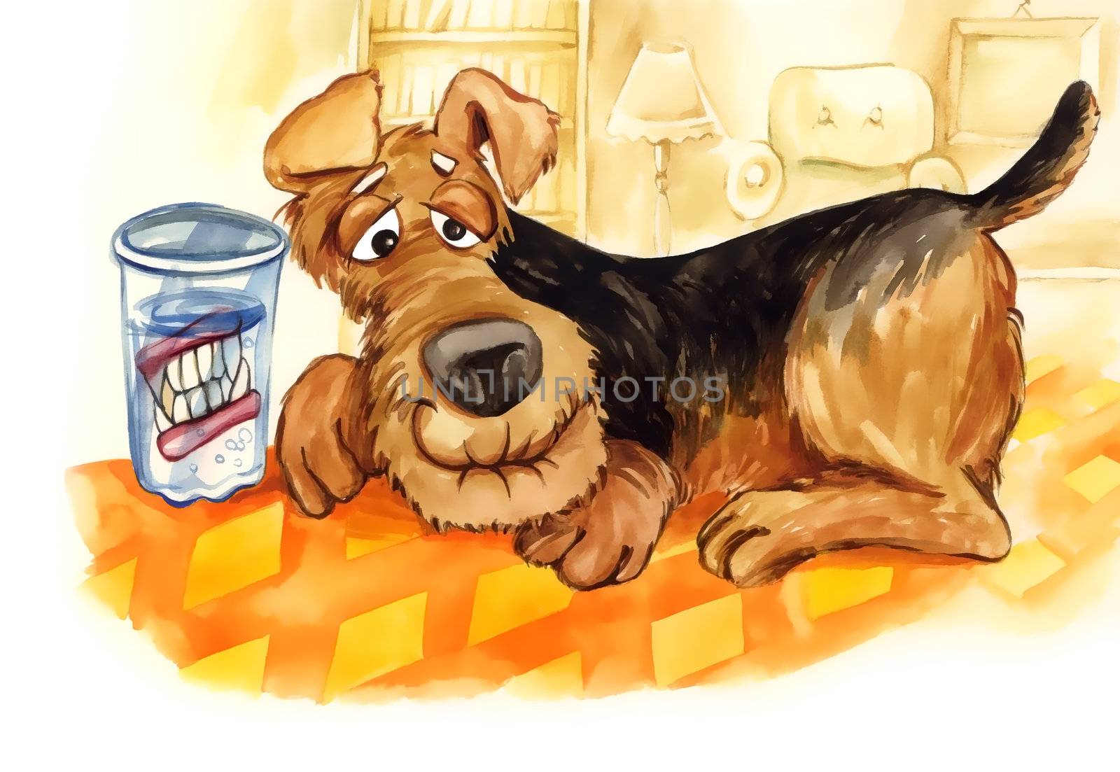 illustration of senior dog with teeth denture