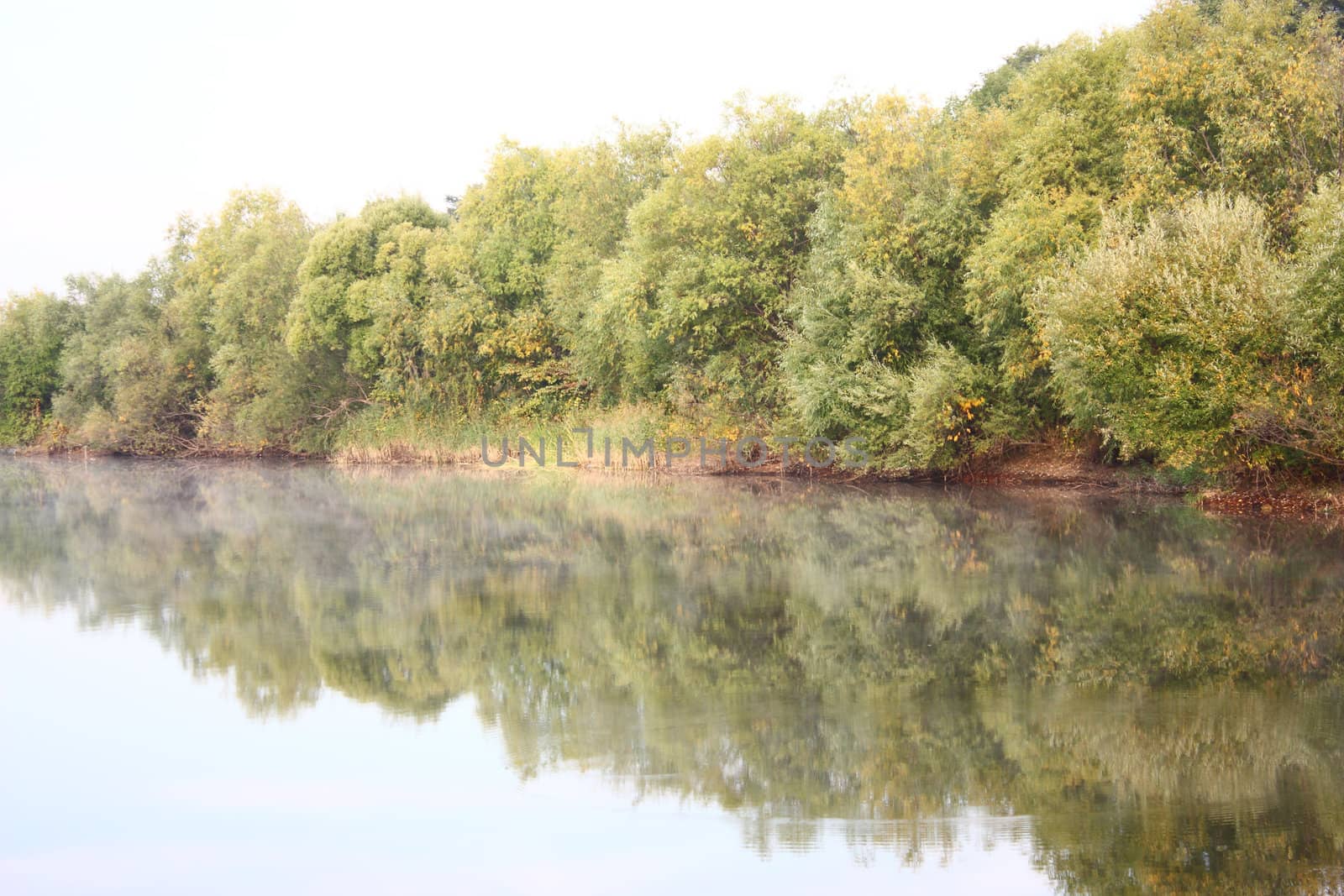 blue lake with colorful wood and blue sky in autumn