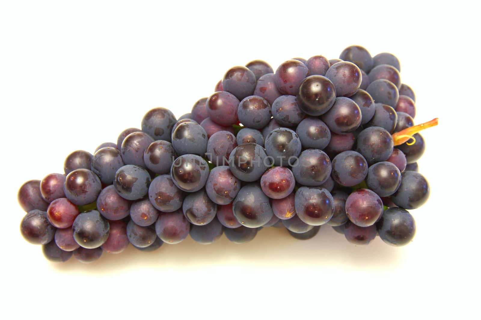 Grapes on white background