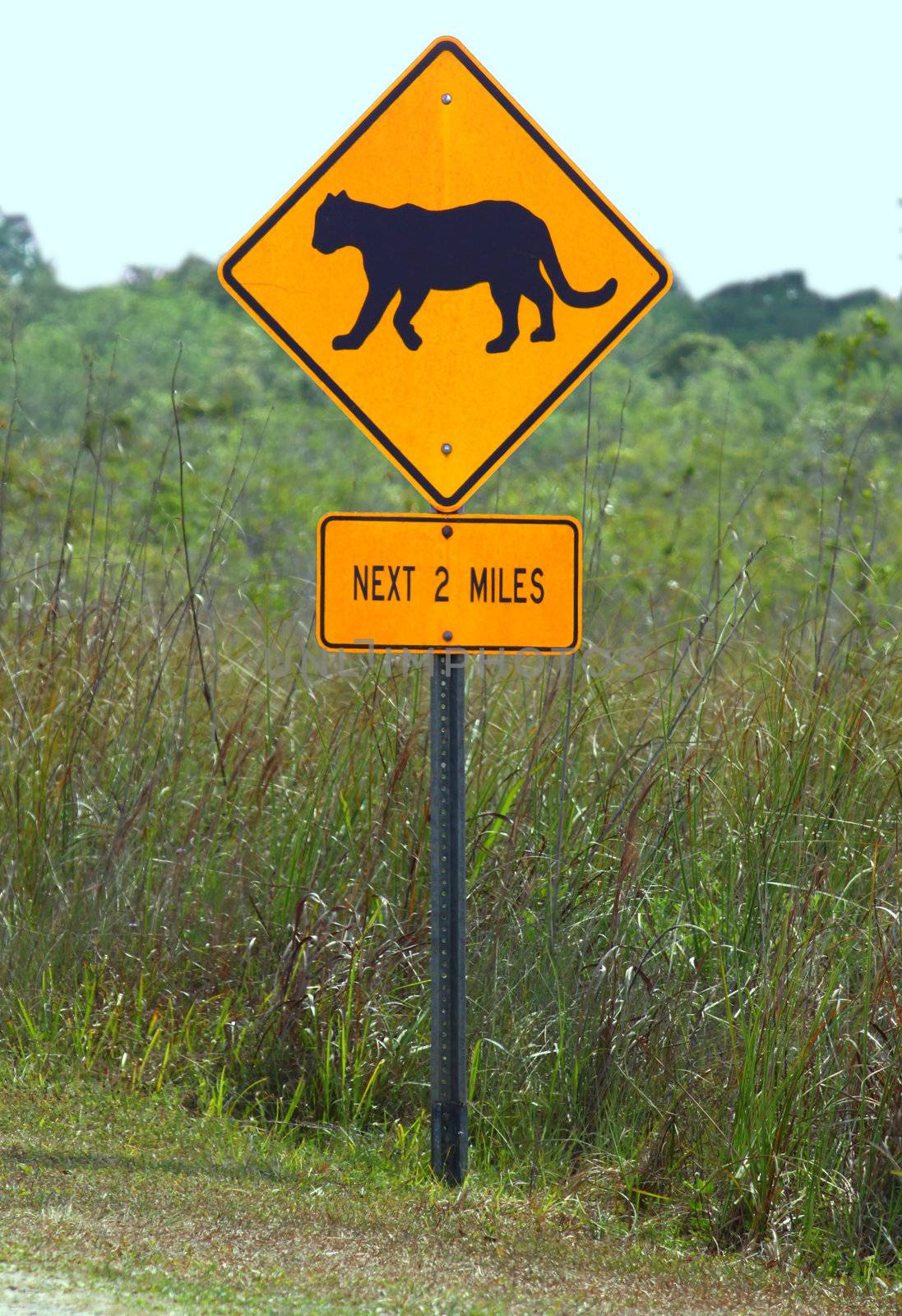 Lookout for Florida Panthers Sign in Everglades National Park.