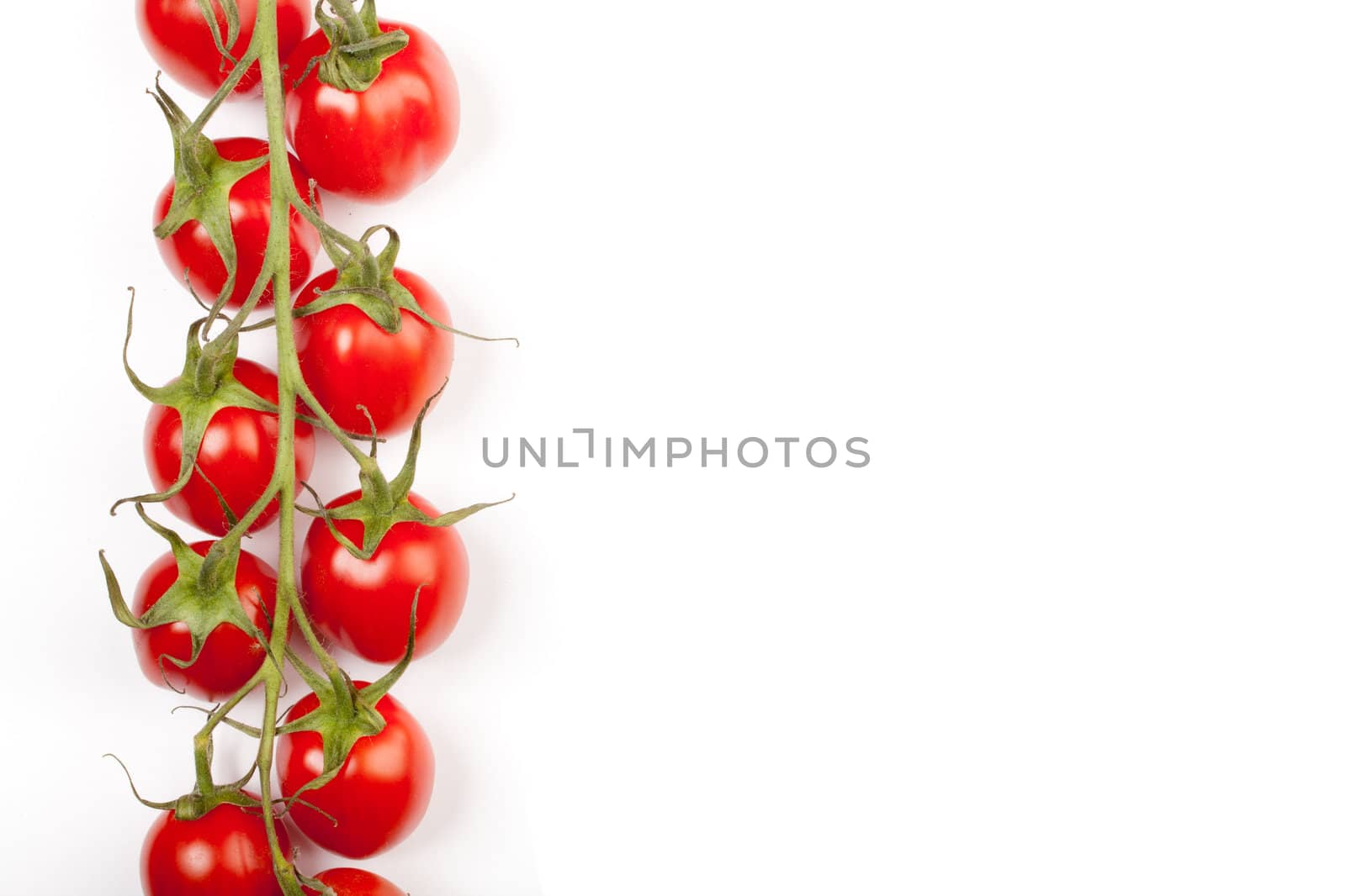 some cherry tomatoes in a horizontal line on the stem leaving copyspace