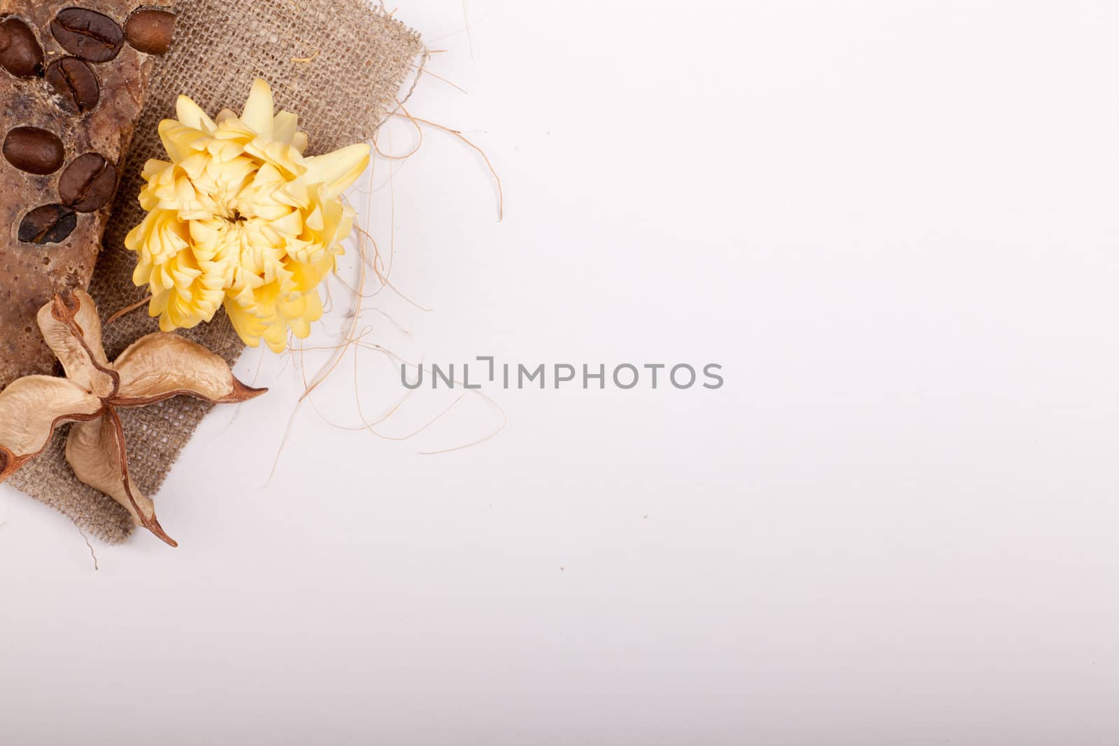 some dried brown decoration and flower in the corner with copyspace