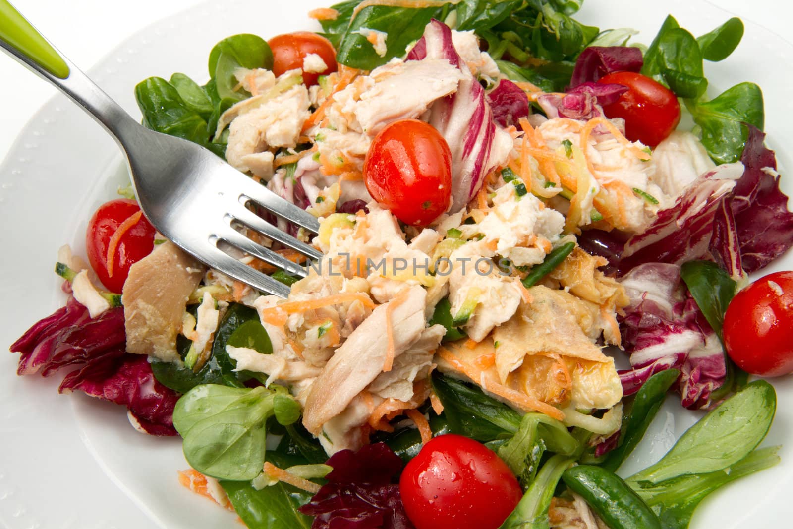 fresh salad with grilled chicken