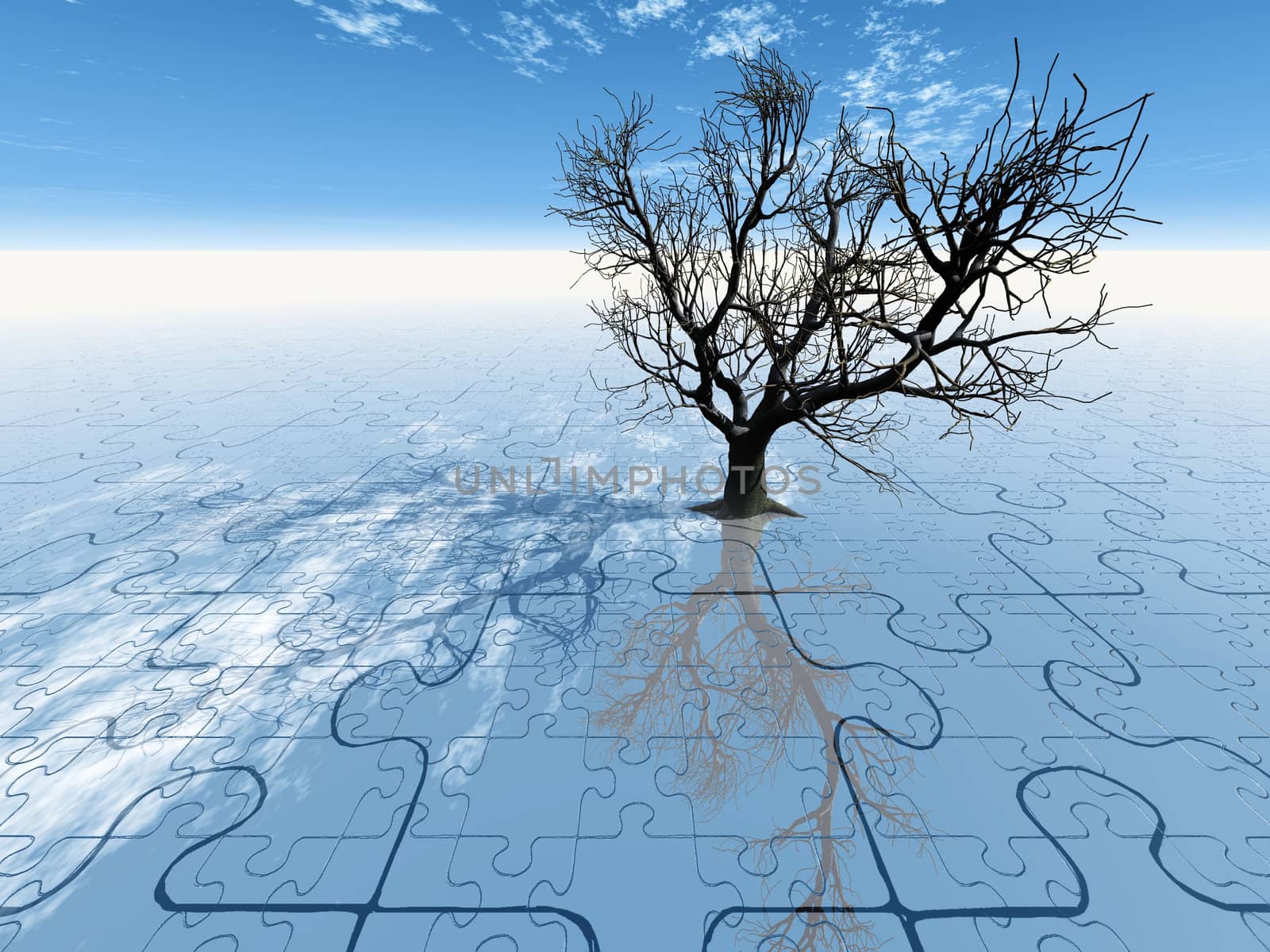 the dead tree in a puzzle landscape