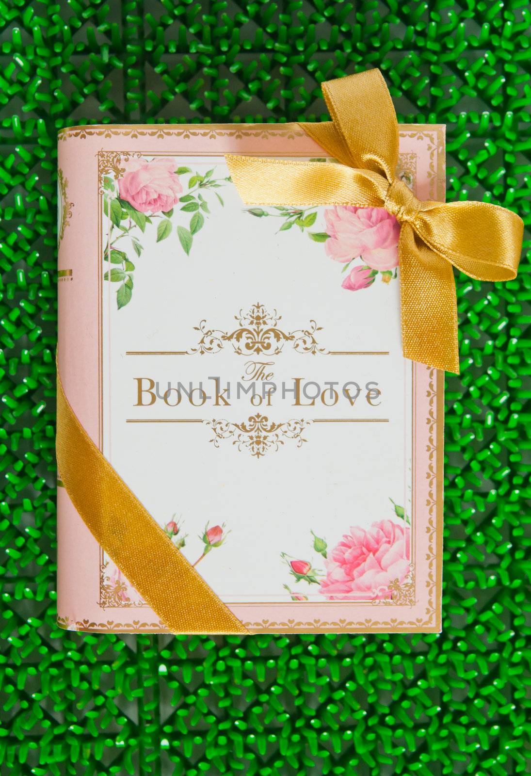 the book of love on green background