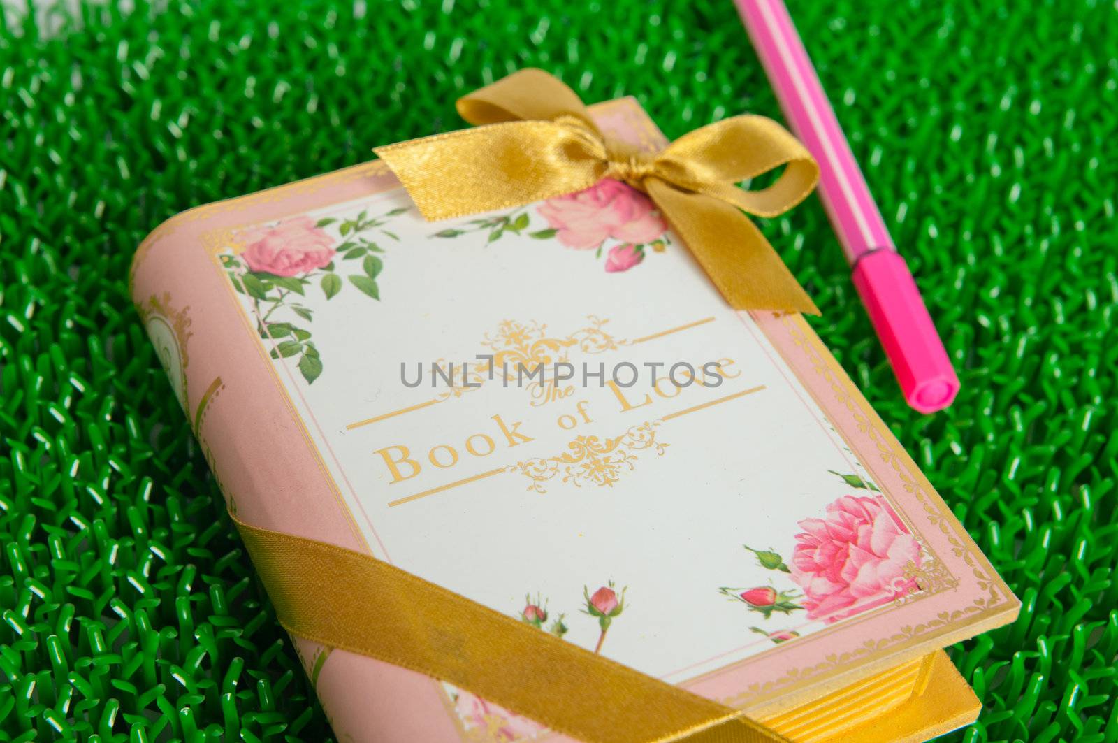 the book of love on green background