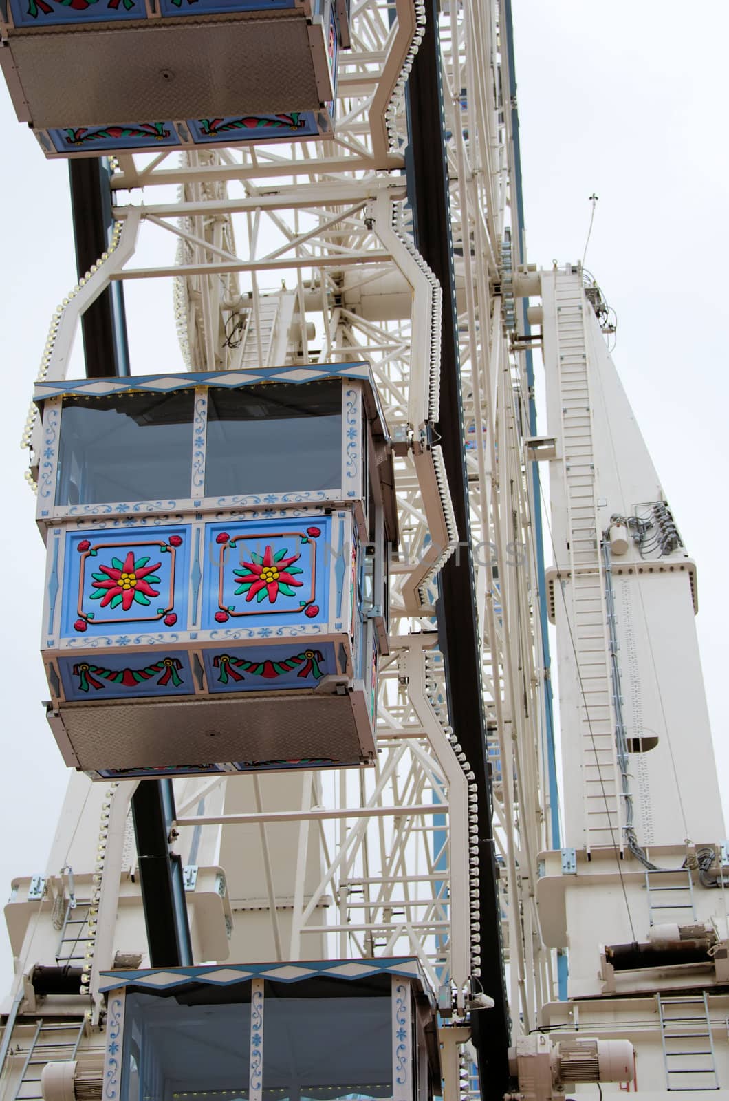 the Ferris wheel in a park