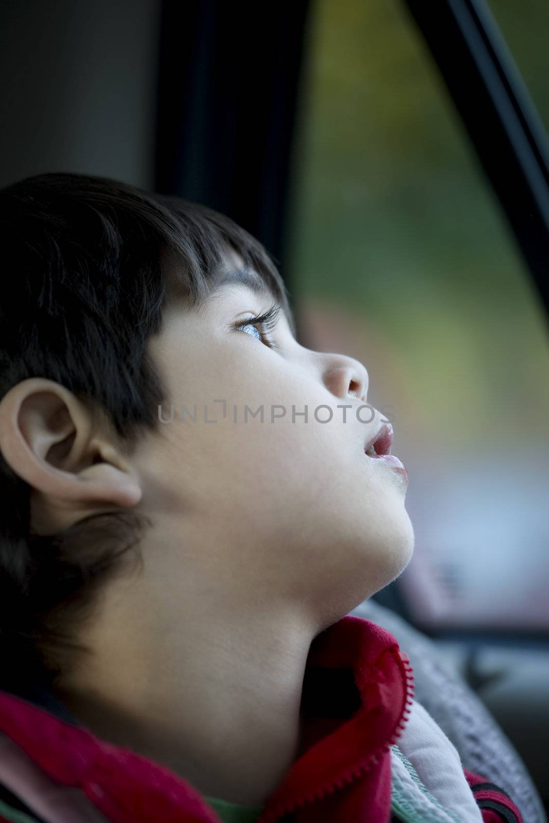 Handsome four year old boy looking quietly out car window