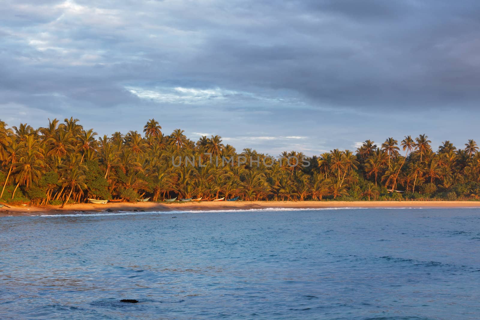 Fishing boats on beach on sunset. Mirissa, Sri Lanka