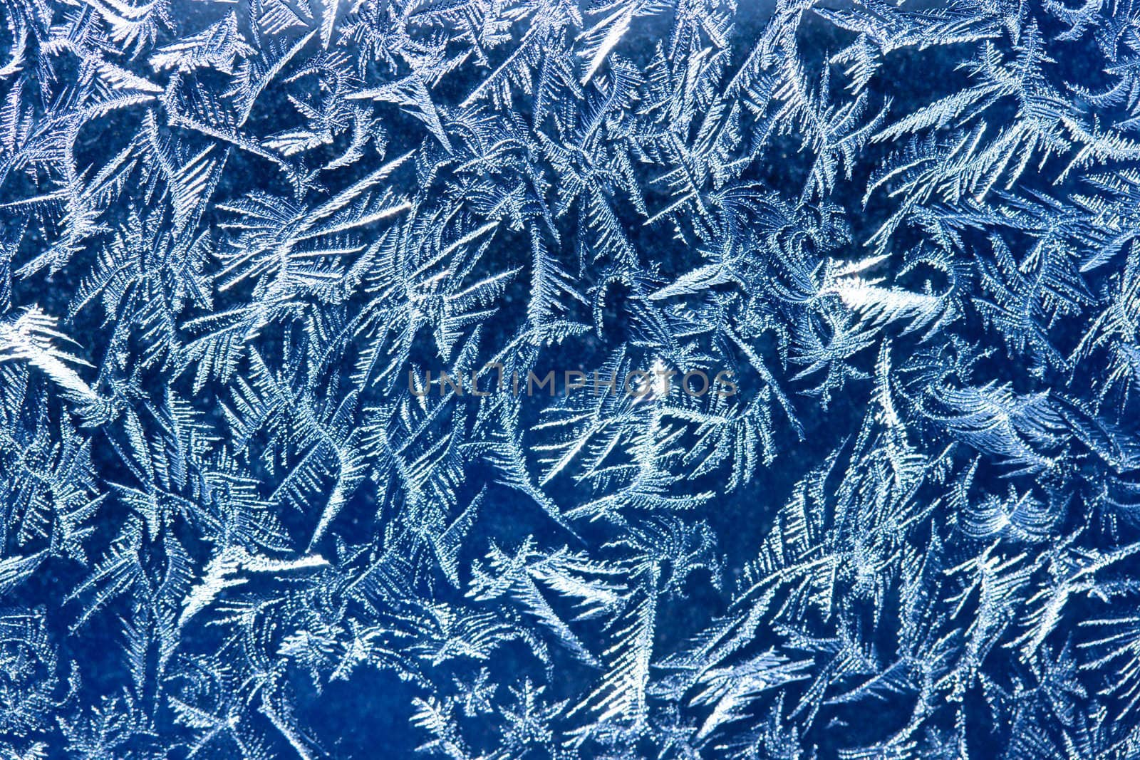 Frost patterns on window glass in winter