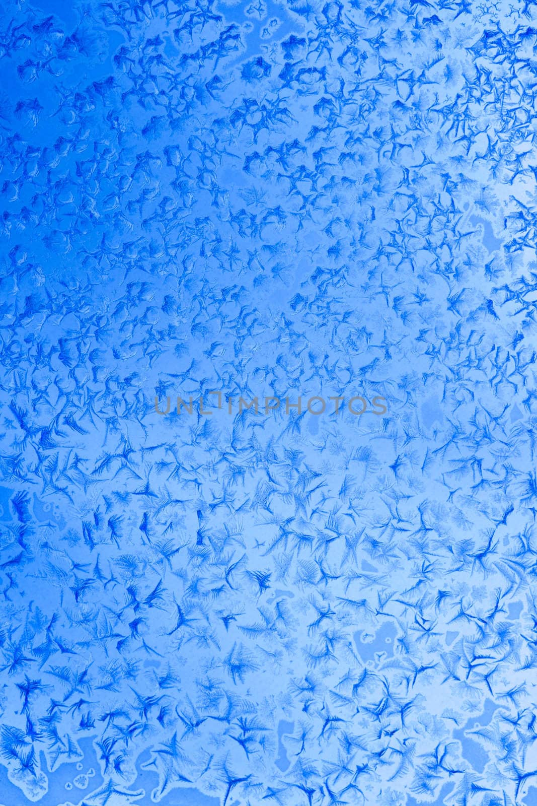 Frost patterns on window glass in winter