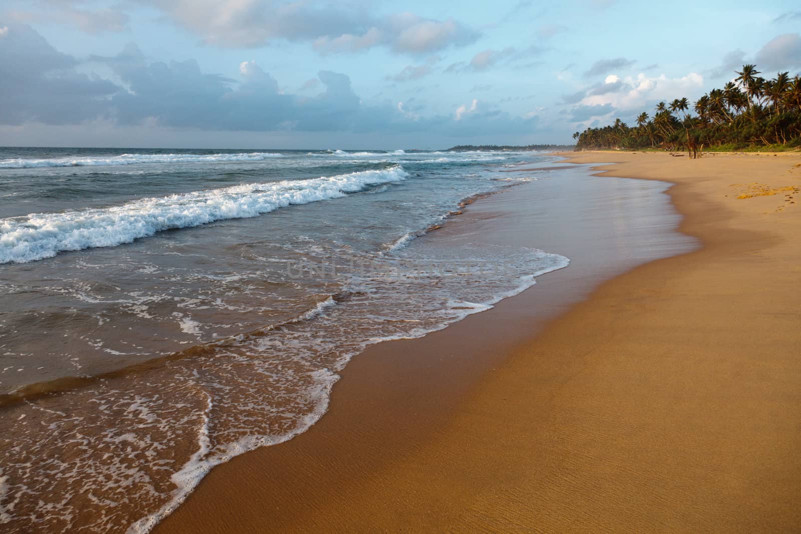 Tropical beach on sunset. Sri Lanka