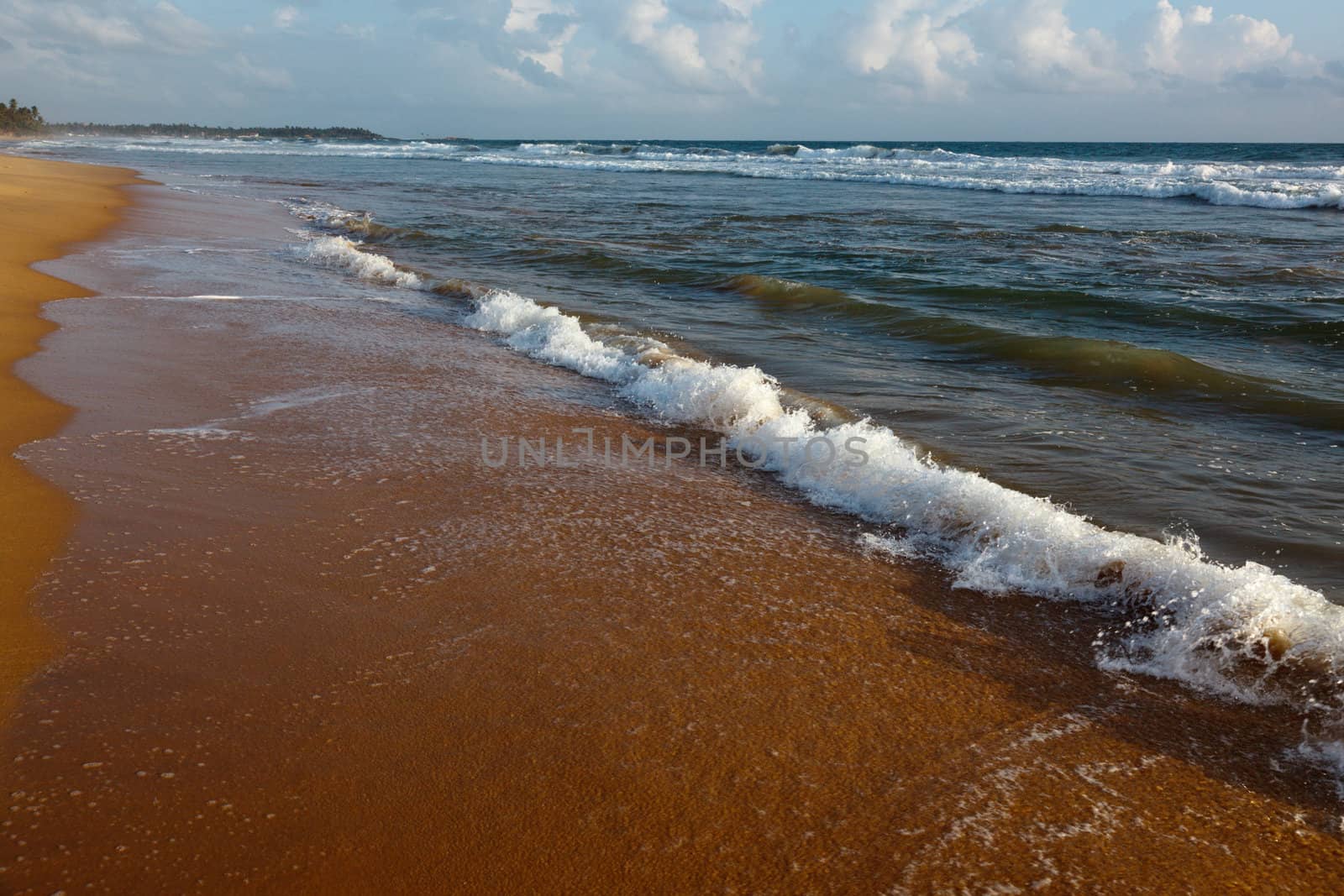 Wave surging on sand on beach