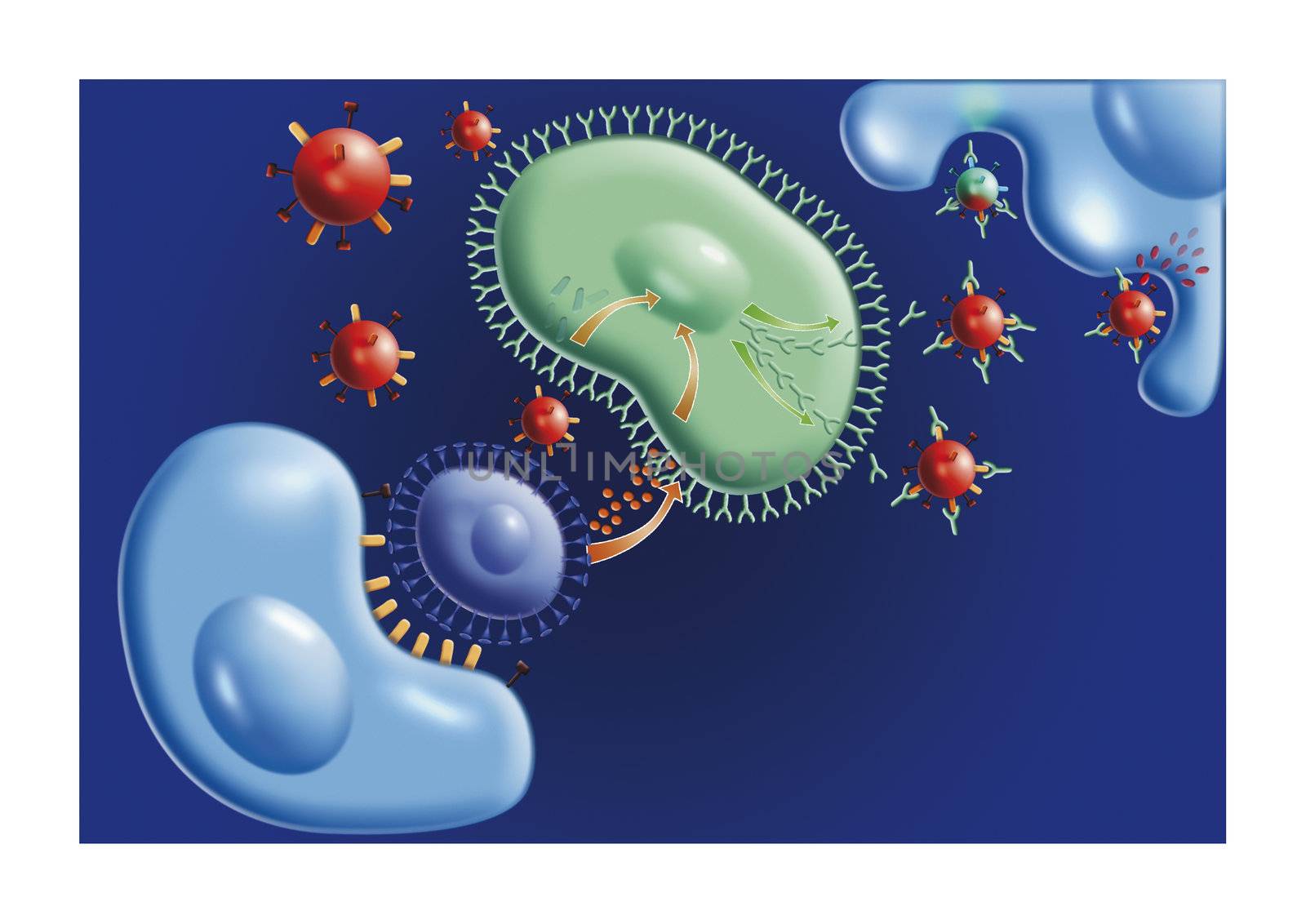 diagram illustration of flu virus attack