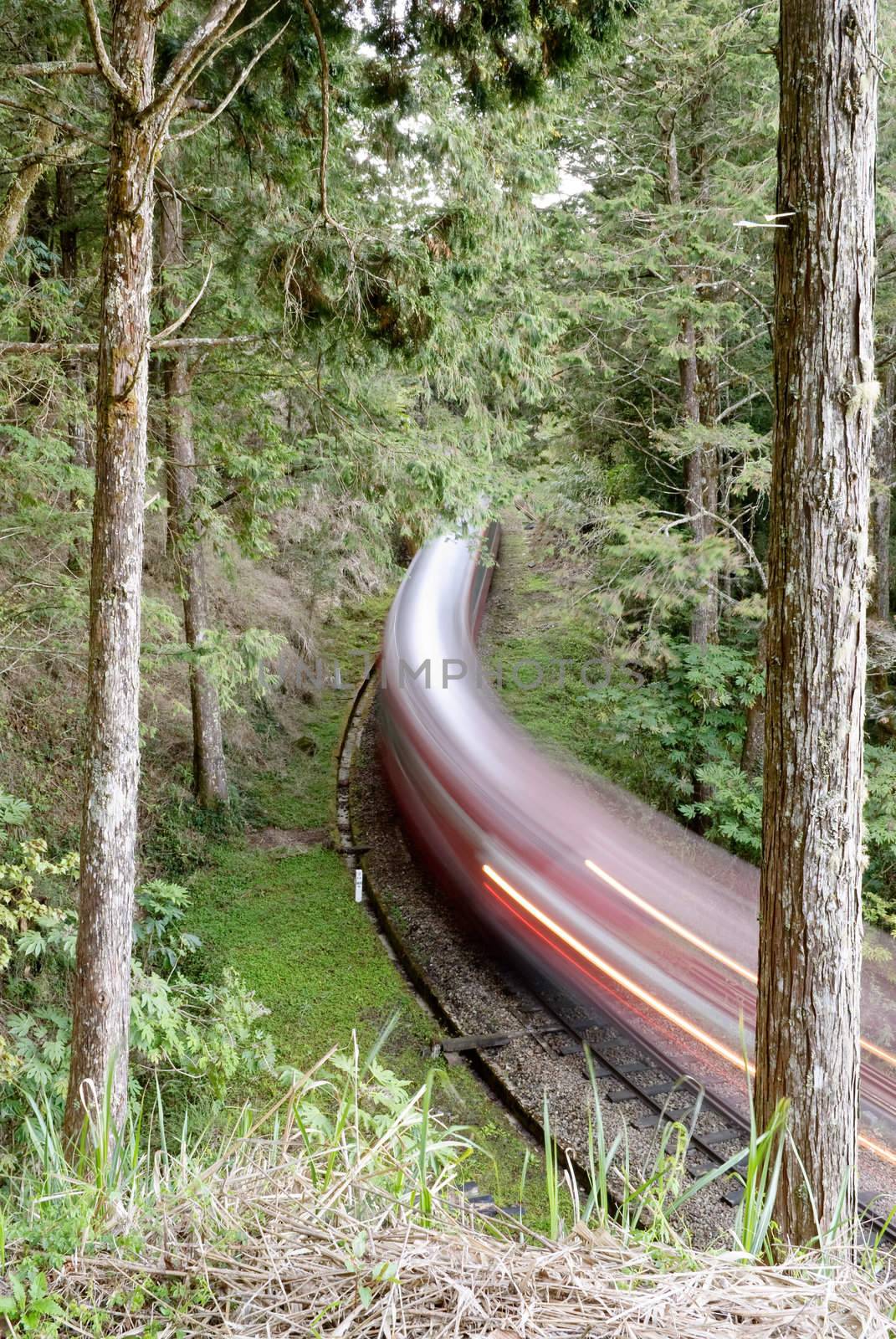 Forest railway with train move blurred in Alishan National Scenic Area, Taiwan, Asia.