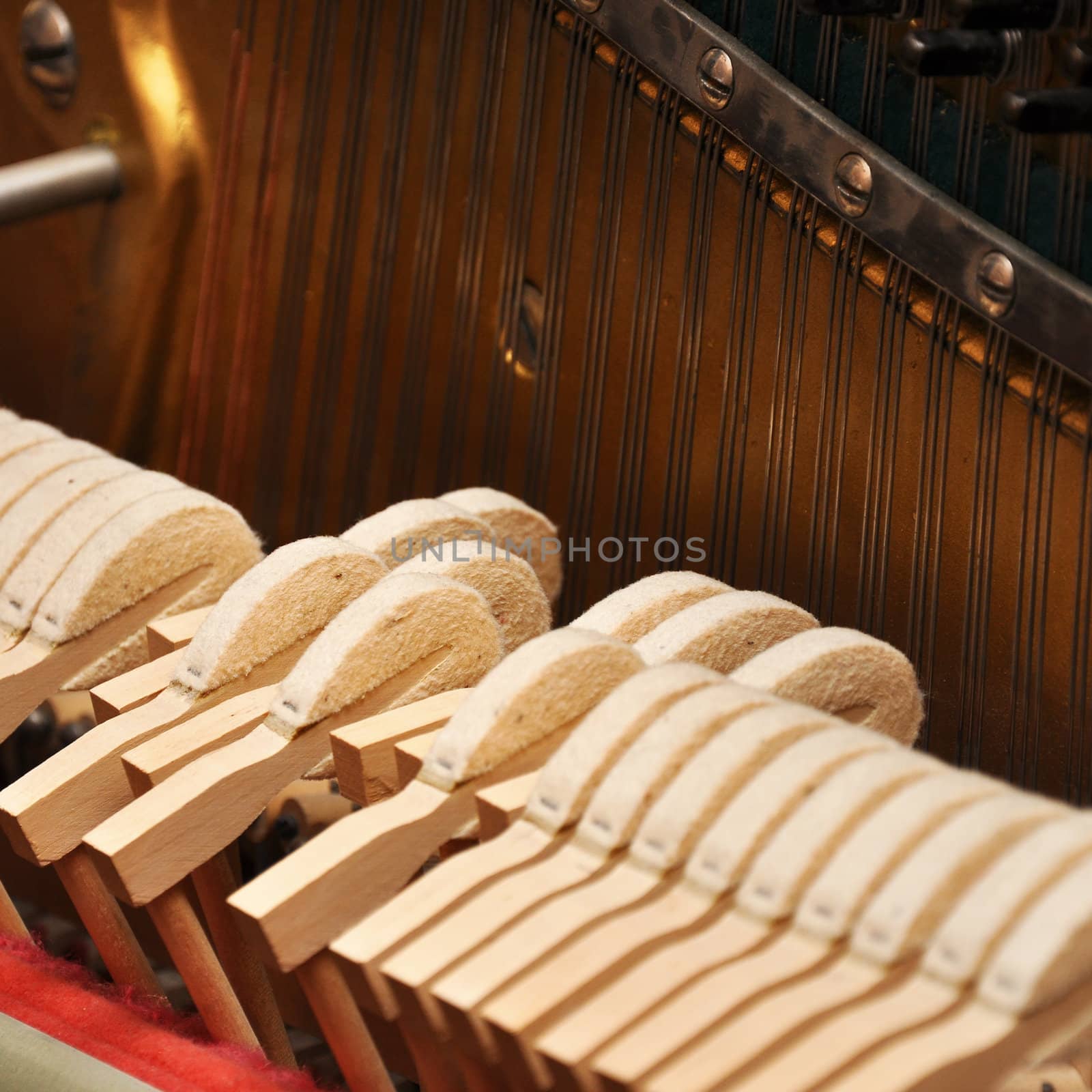 piano mechanism  gavel of the string open 