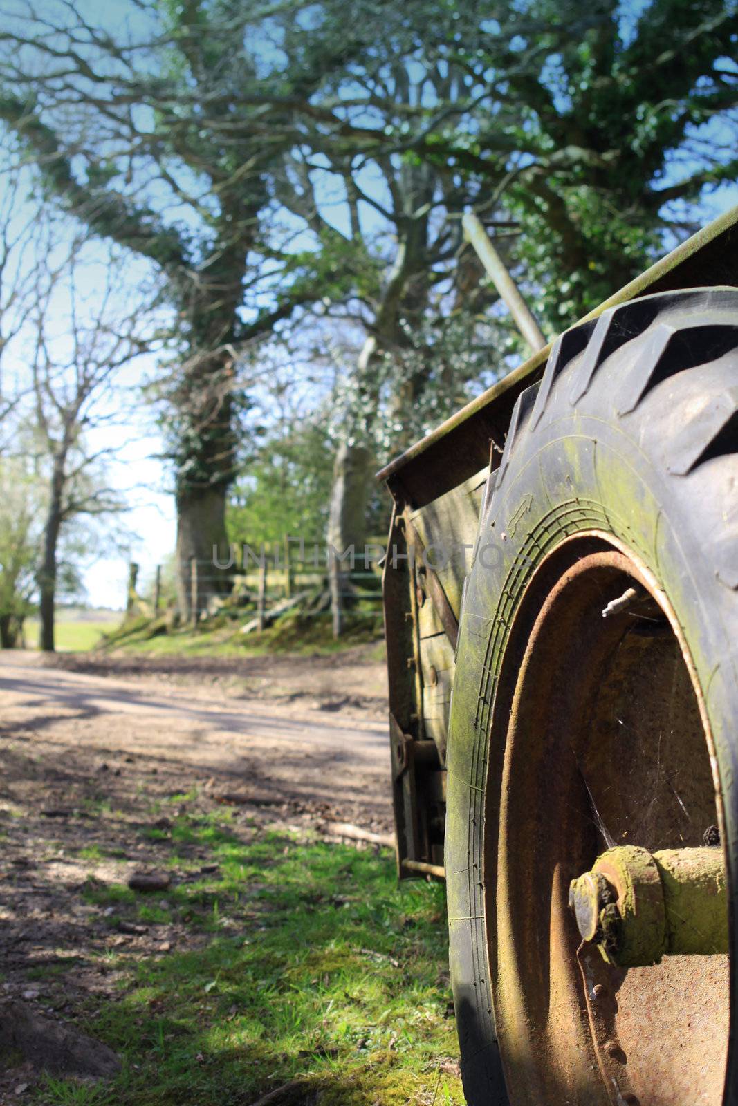 An old farm trailer in a country lane setting. Detail on the rusty tyre of the trailer set to right of image, with a countryside background. Set on a portrait format. Located in The New Forest area, Hampshire UK.