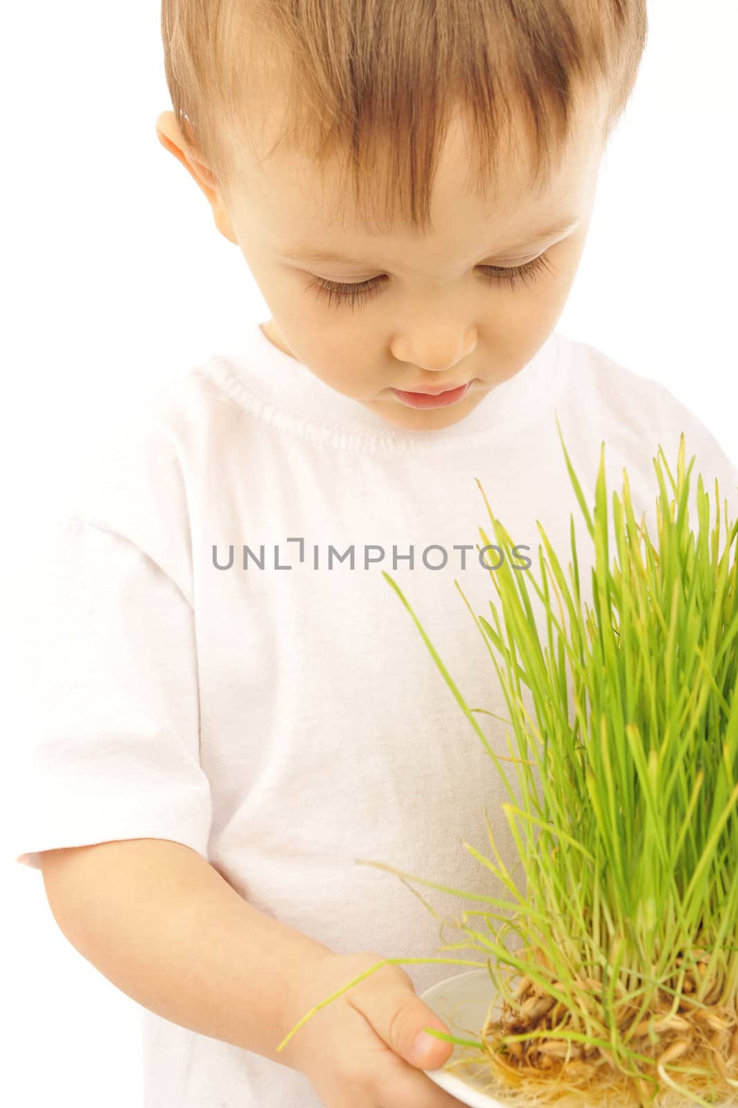 little boy with green grass  isolated on white 