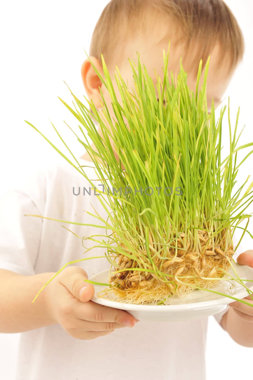   little boy with green grass  isolated on white 