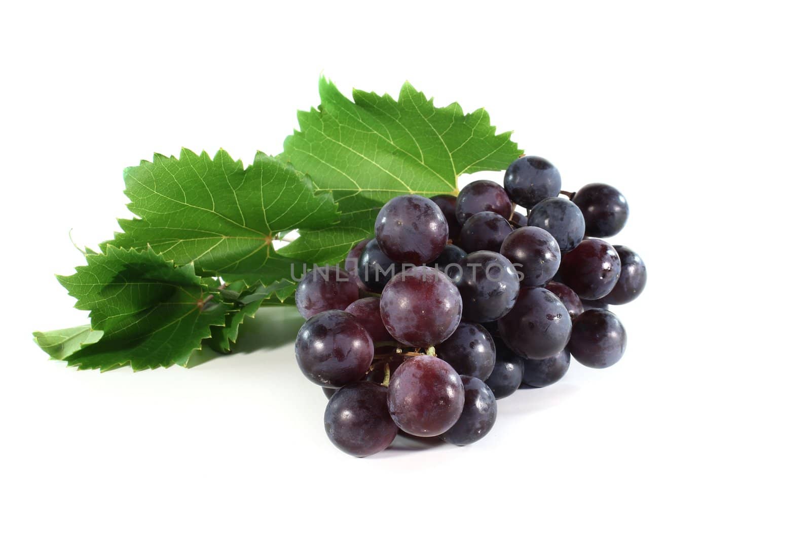 fresh grapes and leaves on a white background