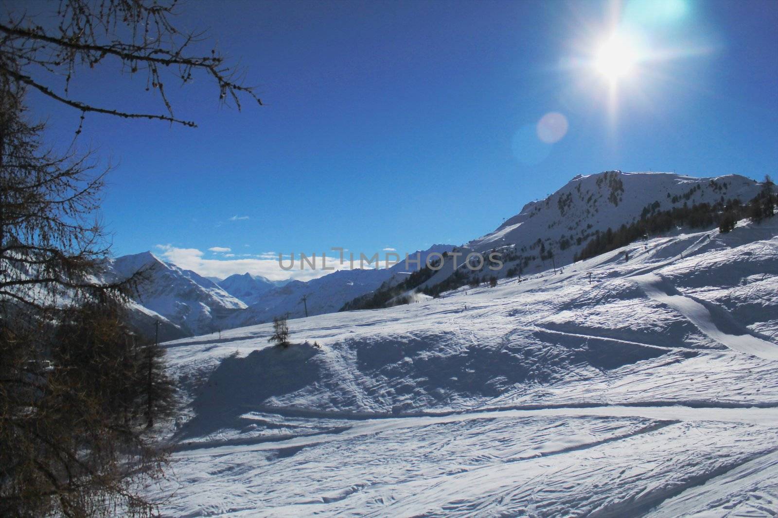 Winter snowy landscape and view on the Alps with fir trees by beautiful weather, Switzerland