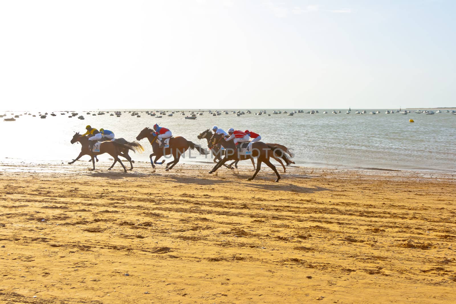 SANLUCAR DE BARRAMEDA, CADIZ, SPAIN - AUGUST 10: Unidentified riders race horses on Sanlucar de Barrameda beach on August 10, 2011 in Sanlucar de Barrameda, Cadiz, Spain.