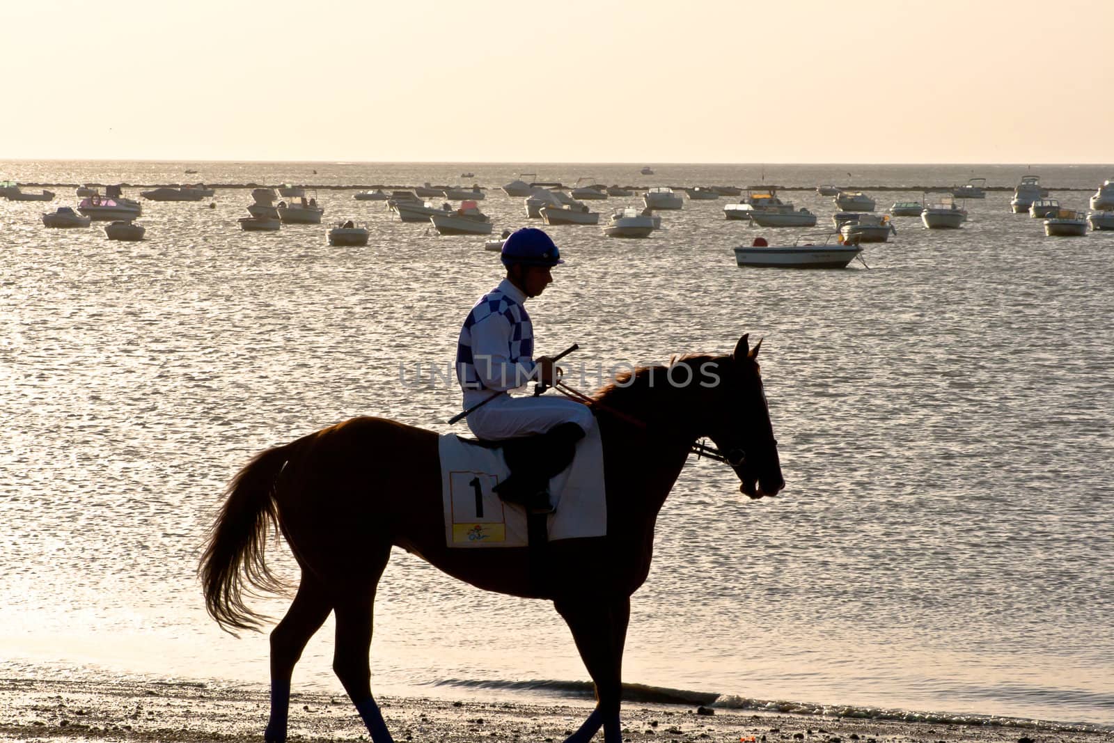 SANLUCAR DE BARRAMEDA, CADIZ, SPAIN - AUGUST 10: Unidentified rider at the start of race horses on Sanlucar de Barrameda beach on August 10, 2011 in Sanlucar de Barrameda, Cadiz, Spain.