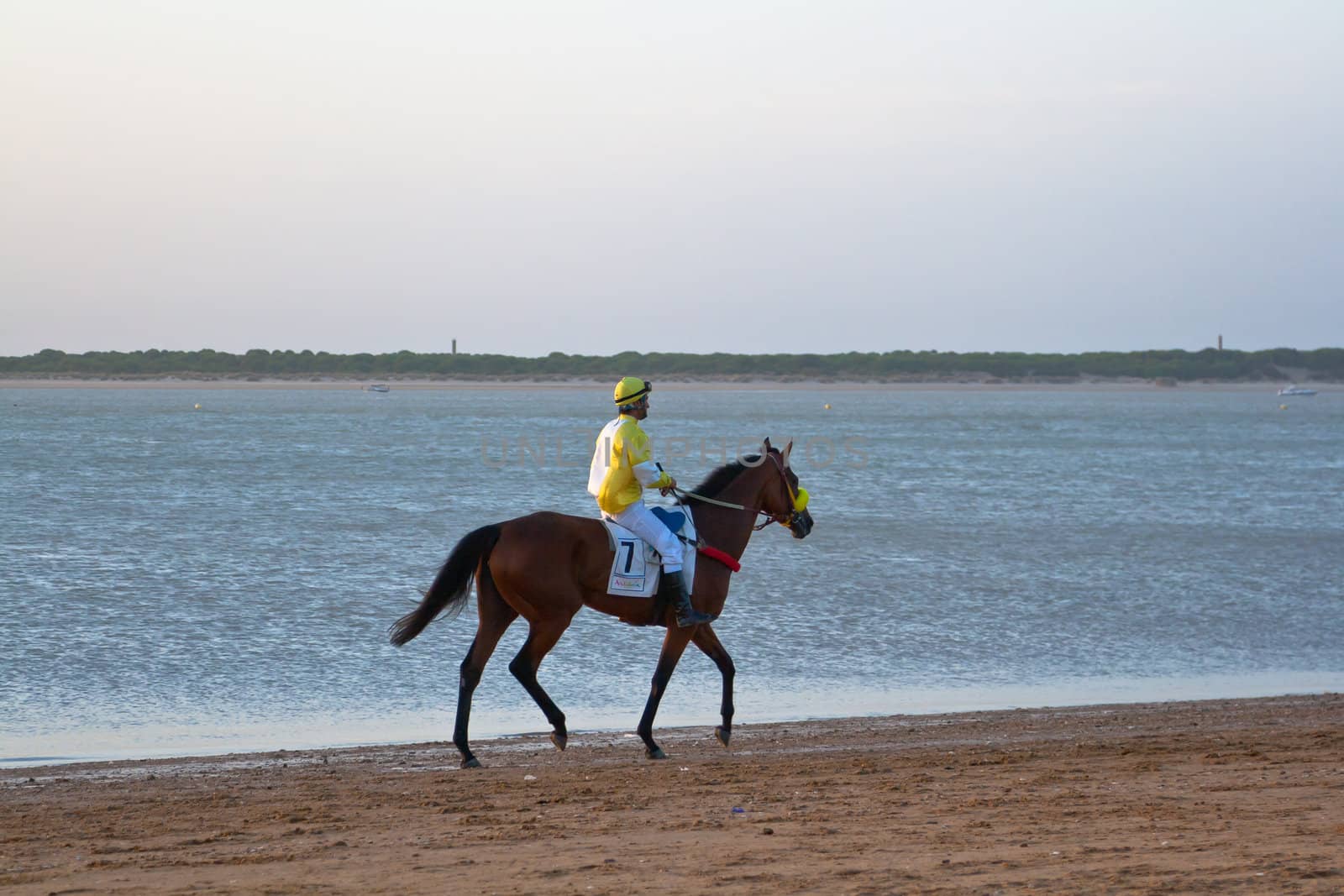 SANLUCAR DE BARRAMEDA, CADIZ, SPAIN - AUGUST 10: Unidentified rider at the start of race horses on Sanlucar de Barrameda beach on August 10, 2011 in Sanlucar de Barrameda, Cadiz, Spain.