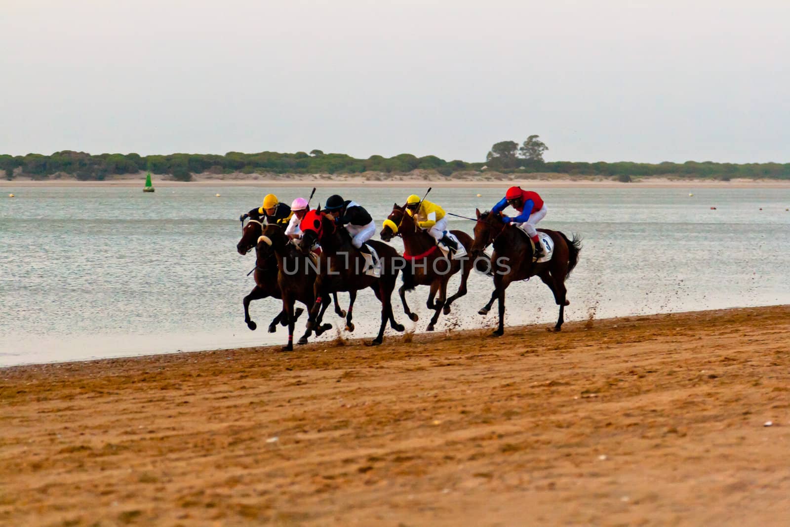 SANLUCAR DE BARRAMEDA, CADIZ, SPAIN - AUGUST 10: Unidentified riders race horses on Sanlucar de Barrameda beach on August 10, 2011 in Sanlucar de Barrameda, Cadiz, Spain.
