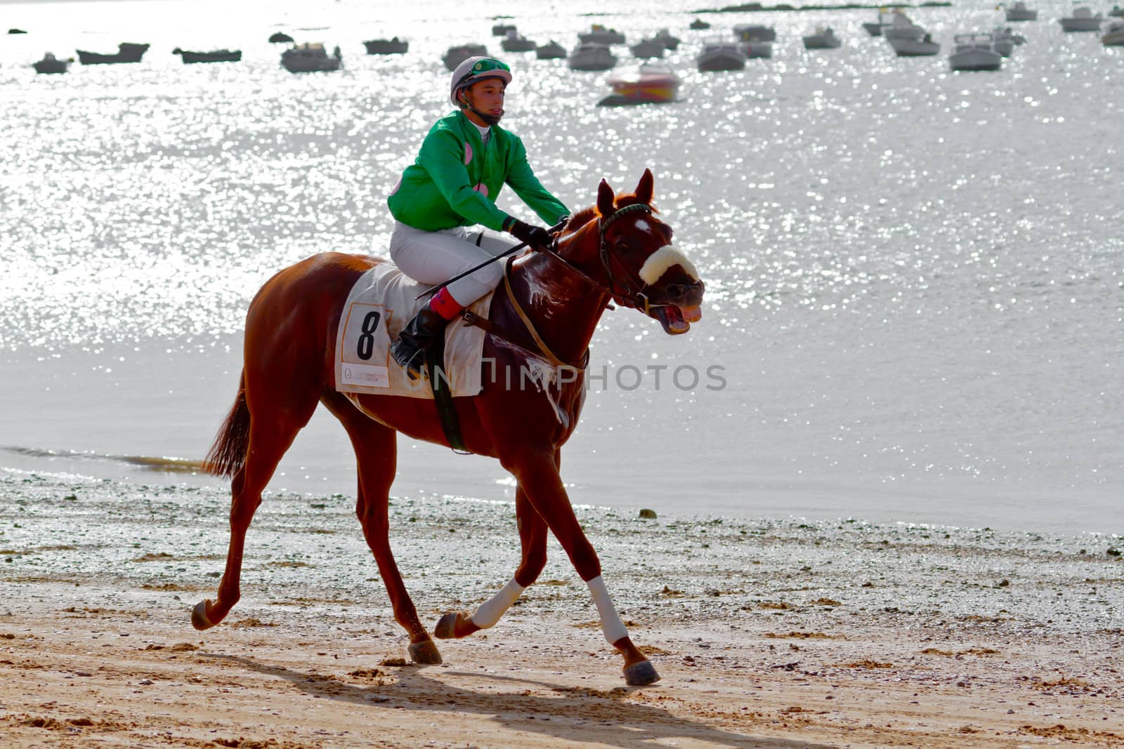 SANLUCAR DE BARRAMEDA, CADIZ, SPAIN - AUGUST 10: Unidentified rider at the start of race horses on Sanlucar de Barrameda beach on August 10, 2011 in Sanlucar de Barrameda, Cadiz, Spain.