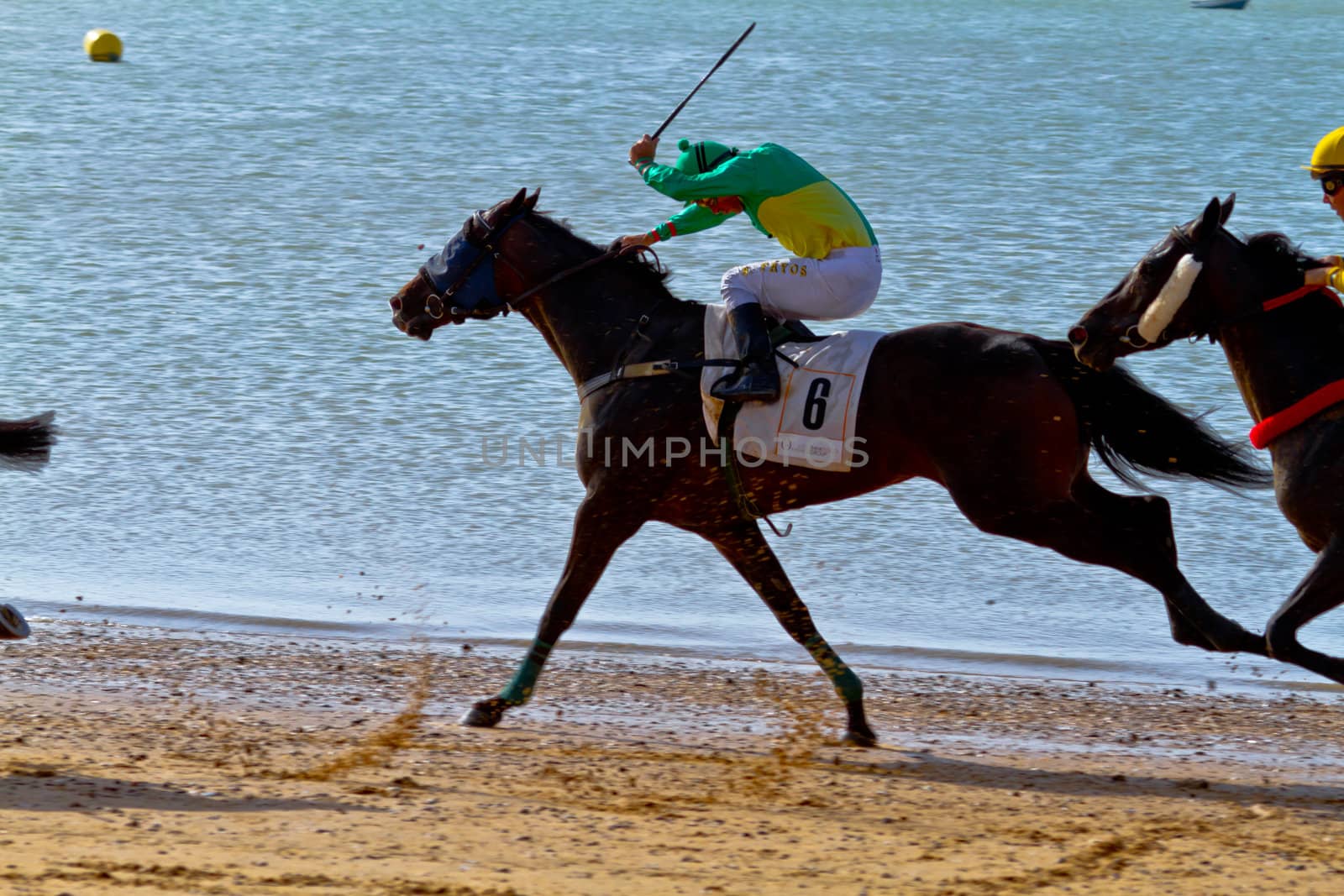 SANLUCAR DE BARRAMEDA, CADIZ, SPAIN - AUGUST 10: Unidentified riders race horses on Sanlucar de Barrameda beach on August 10, 2011 in Sanlucar de Barrameda, Cadiz, Spain.
