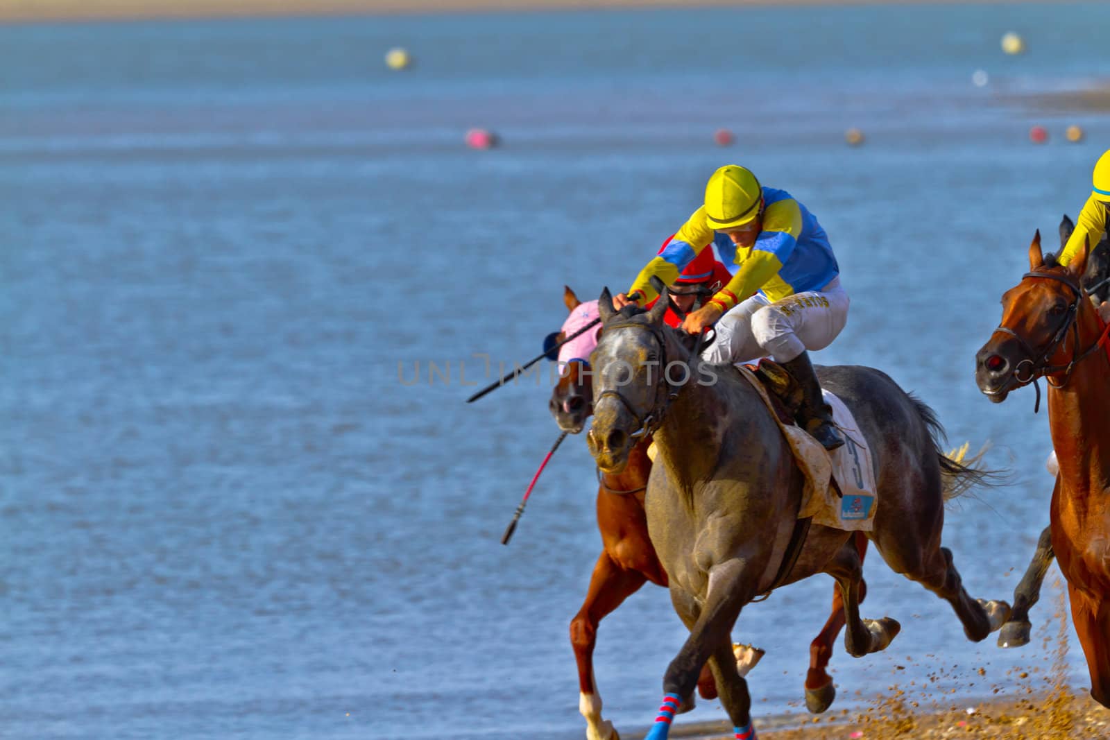 SANLUCAR DE BARRAMEDA, CADIZ, SPAIN - AUGUST 10: Unidentified riders race horses on Sanlucar de Barrameda beach on August 10, 2011 in Sanlucar de Barrameda, Cadiz, Spain.