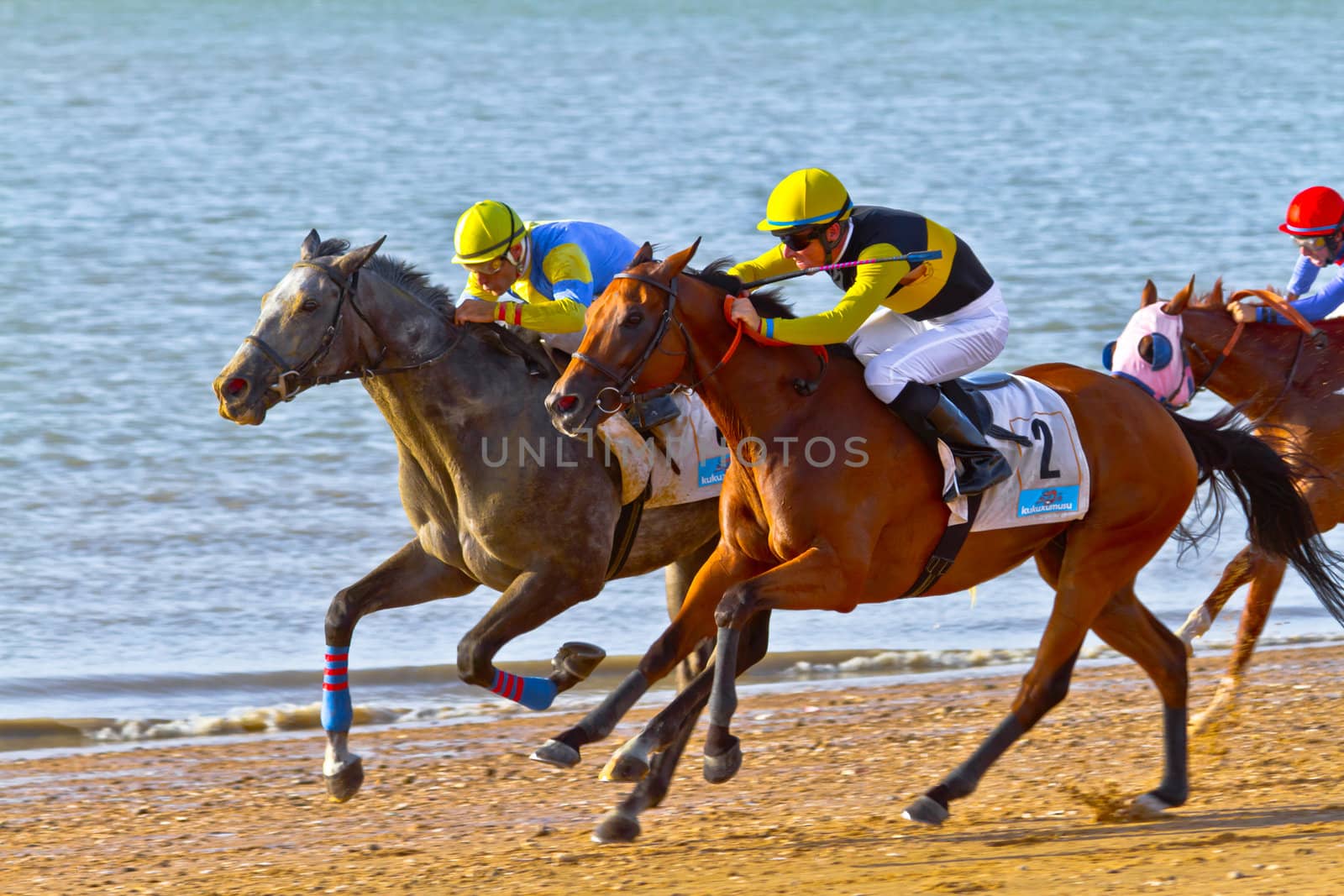SANLUCAR DE BARRAMEDA, CADIZ, SPAIN - AUGUST 10: Unidentified riders race horses on Sanlucar de Barrameda beach on August 10, 2011 in Sanlucar de Barrameda, Cadiz, Spain.