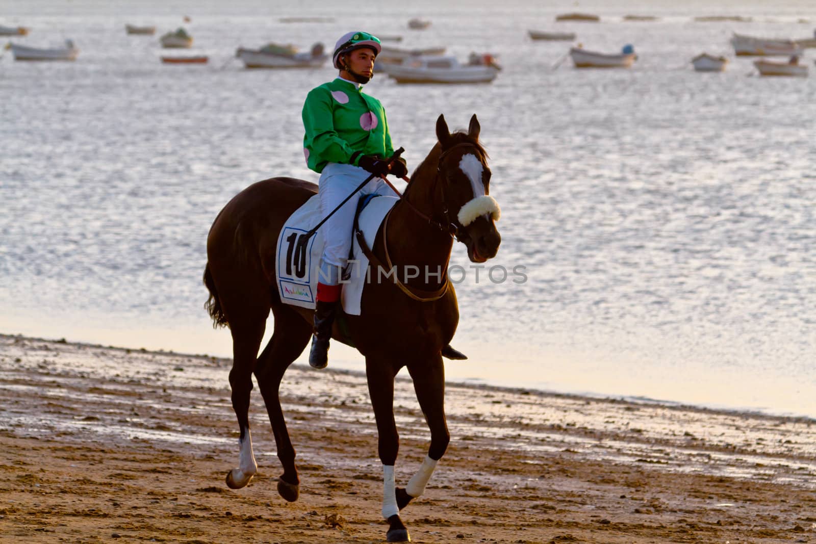 SANLUCAR DE BARRAMEDA, CADIZ, SPAIN - AUGUST 10: Unidentified rider at the start of race horses on Sanlucar de Barrameda beach on August 10, 2011 in Sanlucar de Barrameda, Cadiz, Spain.