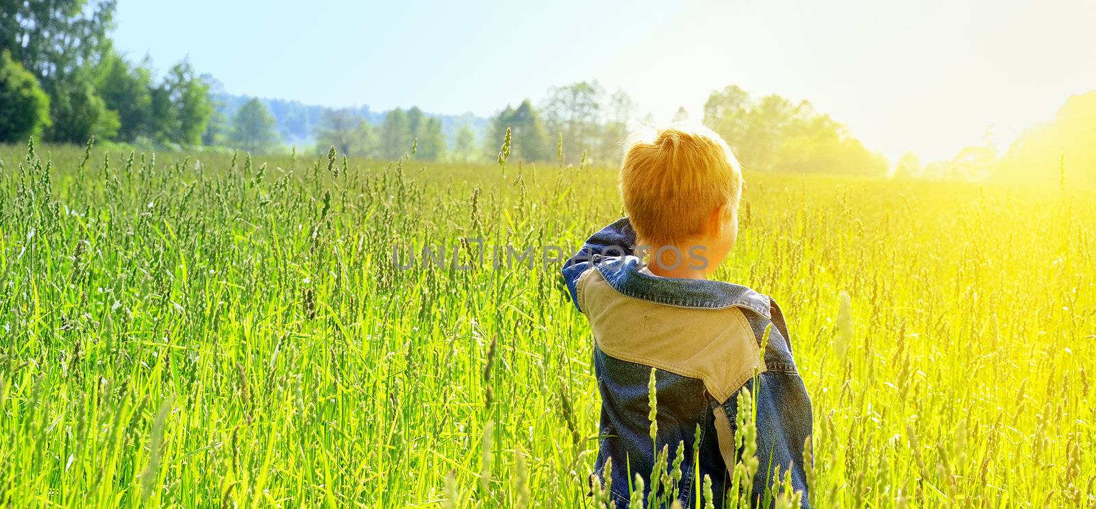 happy young boy looking horizon and dreaming on green field grass