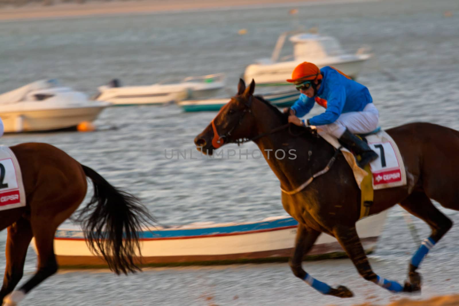 SANLUCAR DE BARRAMEDA, CADIZ, SPAIN - AUGUST 07: Unidentified rider race horses on Sanlucar de Barrameda beach on August 28, 2008 in Sanlucar de Barrameda, Cadiz, Spain.