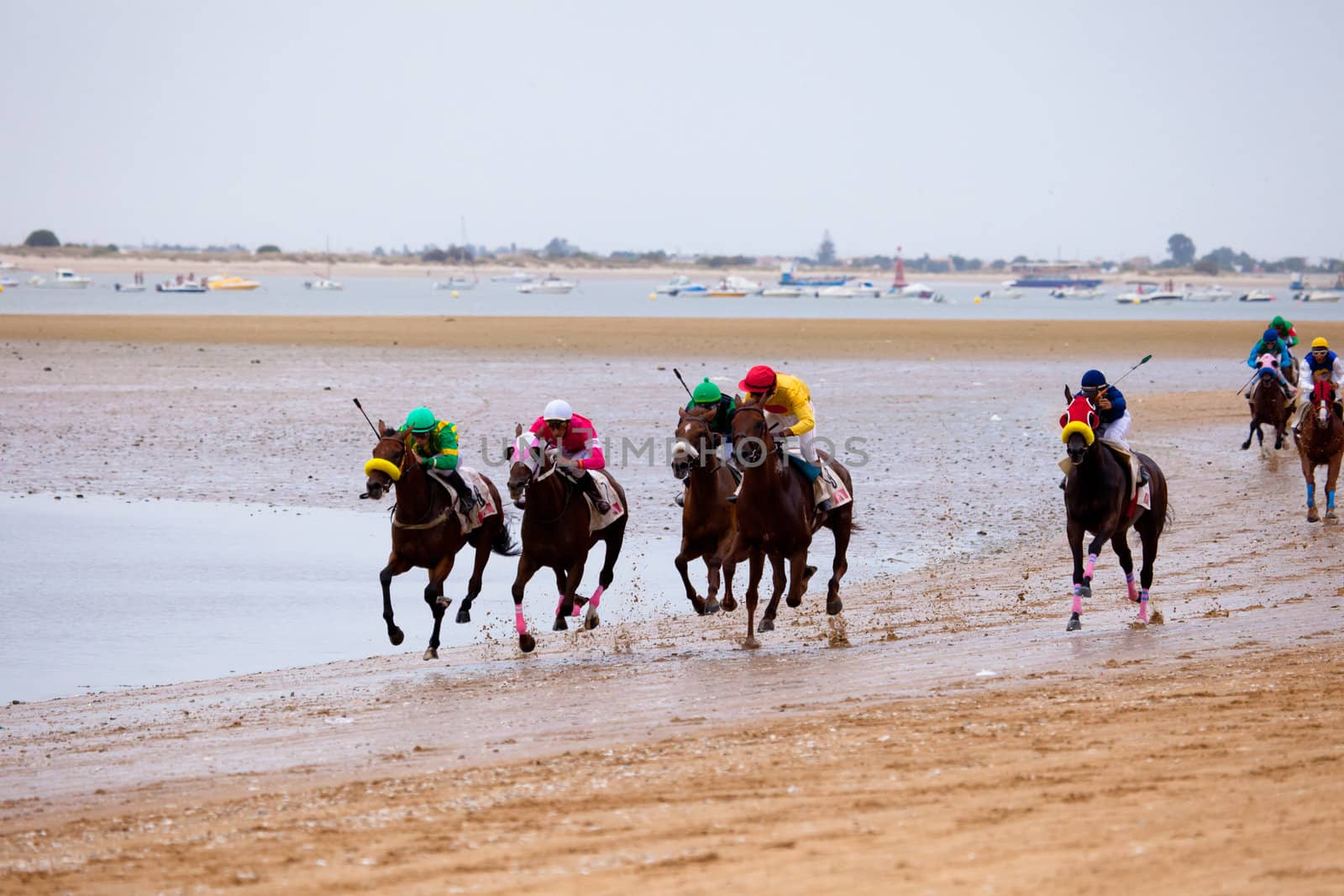 SANLUCAR DE BARRAMEDA, CADIZ, SPAIN - AUGUST 07: Unidentified riders race horses on Sanlucar de Barrameda beach on August 07, 2010 in Sanlucar de Barrameda, Cadiz, Spain.
