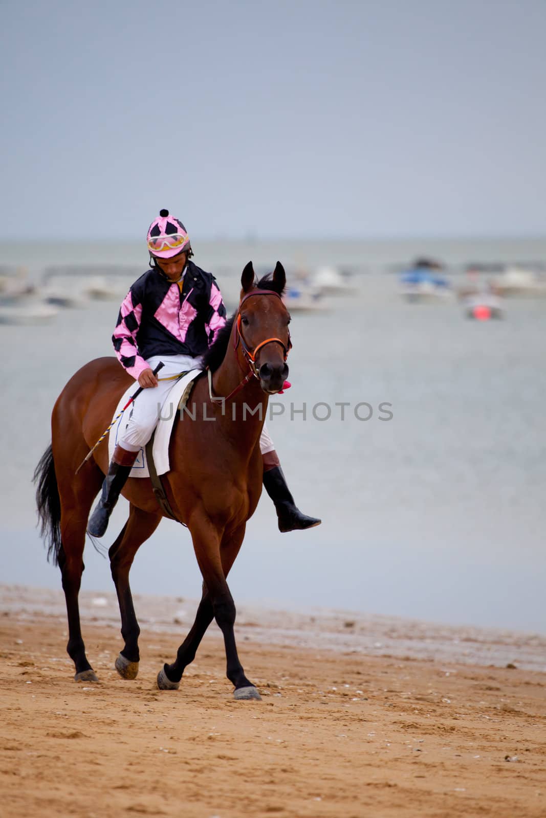 SANLUCAR DE BARRAMEDA, CADIZ, SPAIN - AUGUST 07: Unidentified rider at the start of race horses on Sanlucar de Barrameda beach on  August 07, 2010 in Sanlucar de Barrameda, Cadiz, Spain.