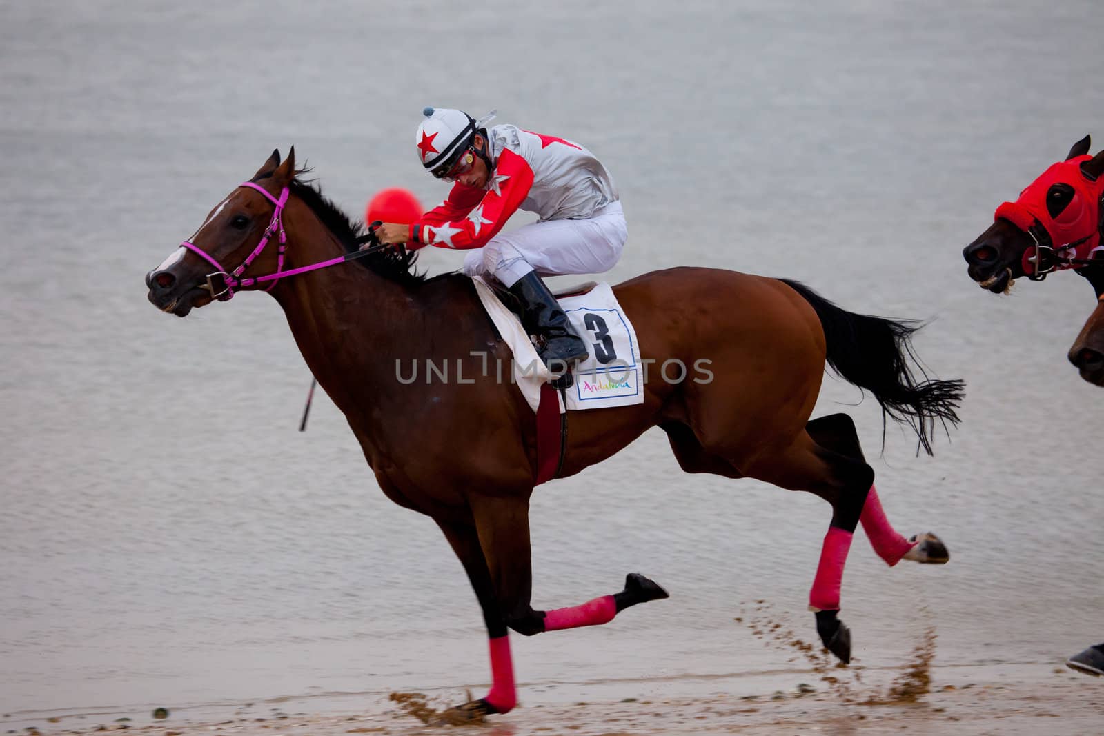 SANLUCAR DE BARRAMEDA, CADIZ, SPAIN - AUGUST 07: Unidentified rider race horses on Sanlucar de Barrameda beach on August 07, 2010 in Sanlucar de Barrameda, Cadiz, Spain.