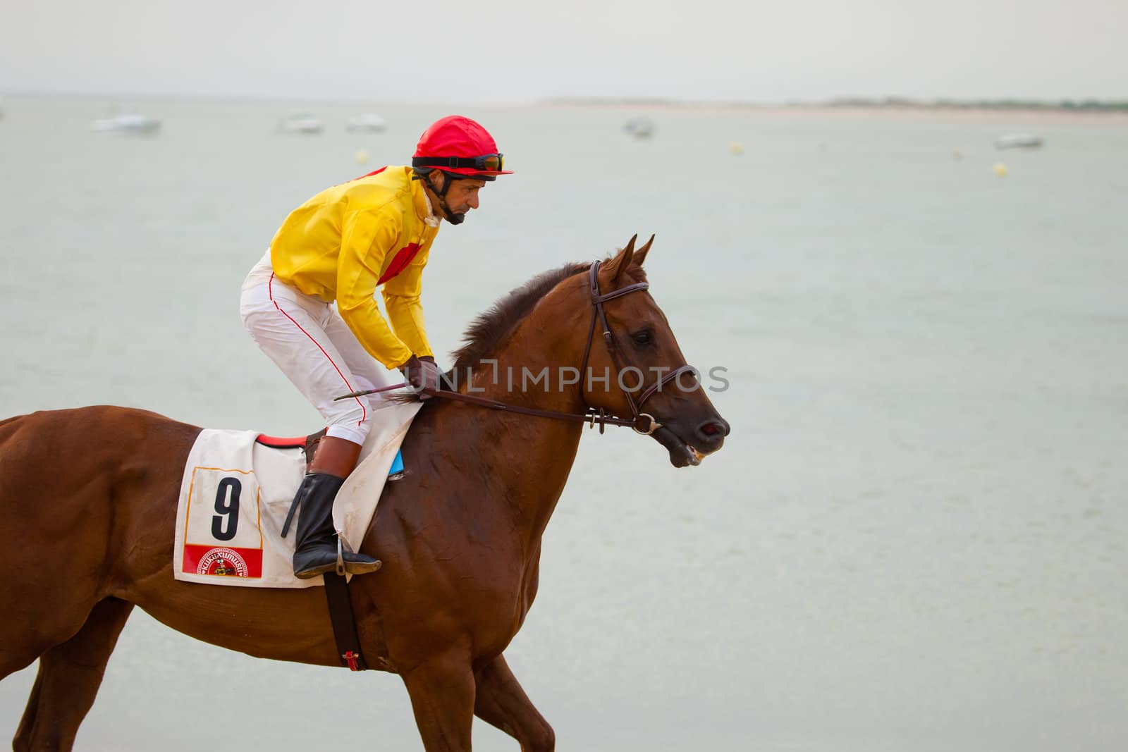 SANLUCAR DE BARRAMEDA, CADIZ, SPAIN - AUGUST 07: Unidentified rider at the start of race horses on Sanlucar de Barrameda beach on  August 07, 2010 in Sanlucar de Barrameda, Cadiz, Spain.