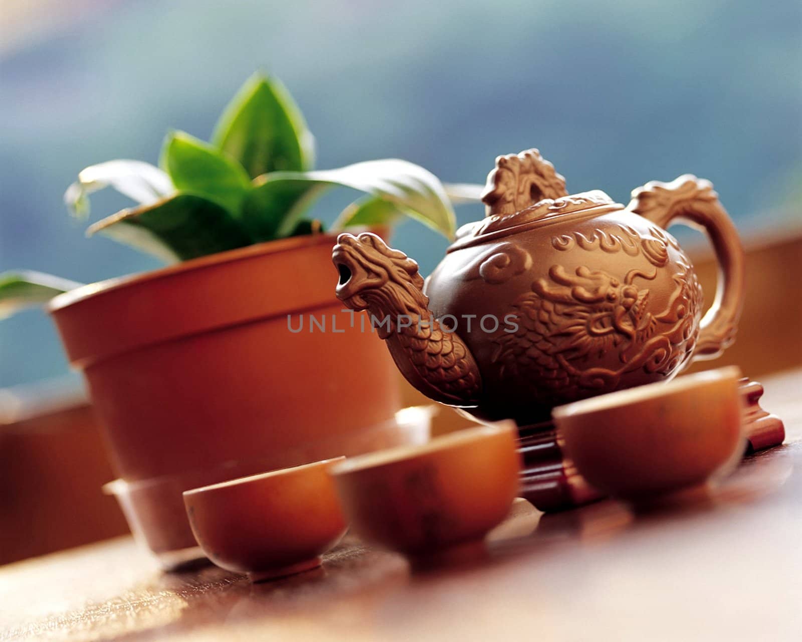 Chinese tea, tea, tea sets display
