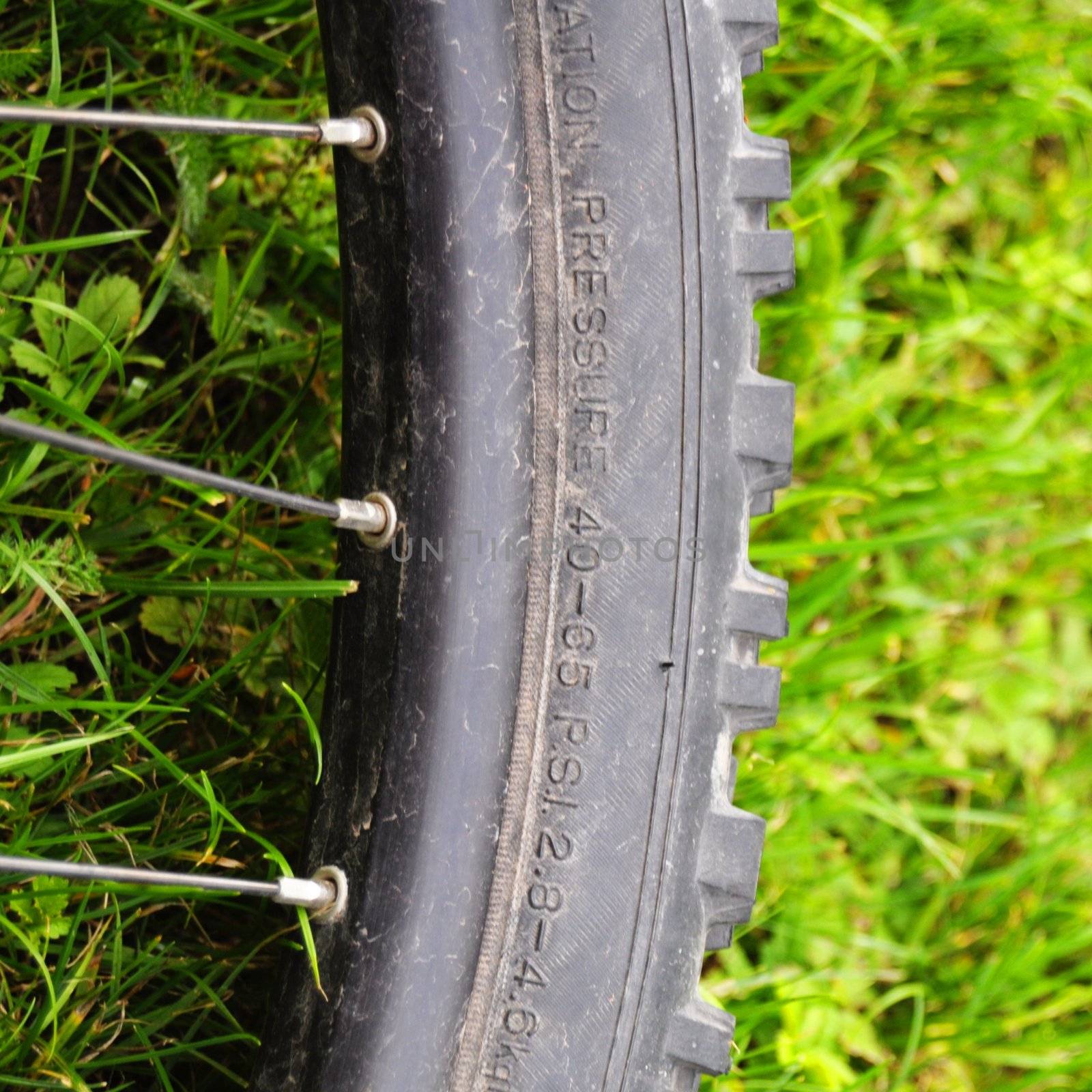 mountain bike offroad tire in green grass showing sport in nature concept