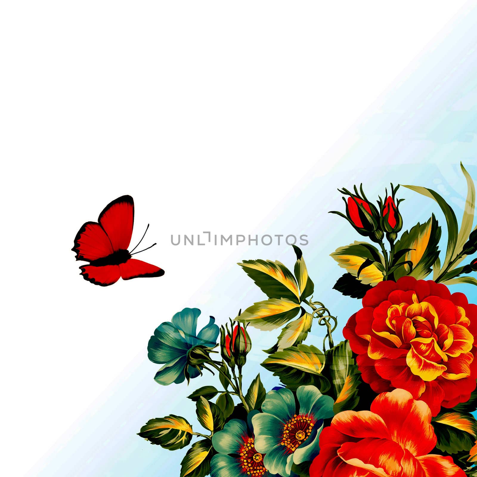 White background in the roses and butterflies