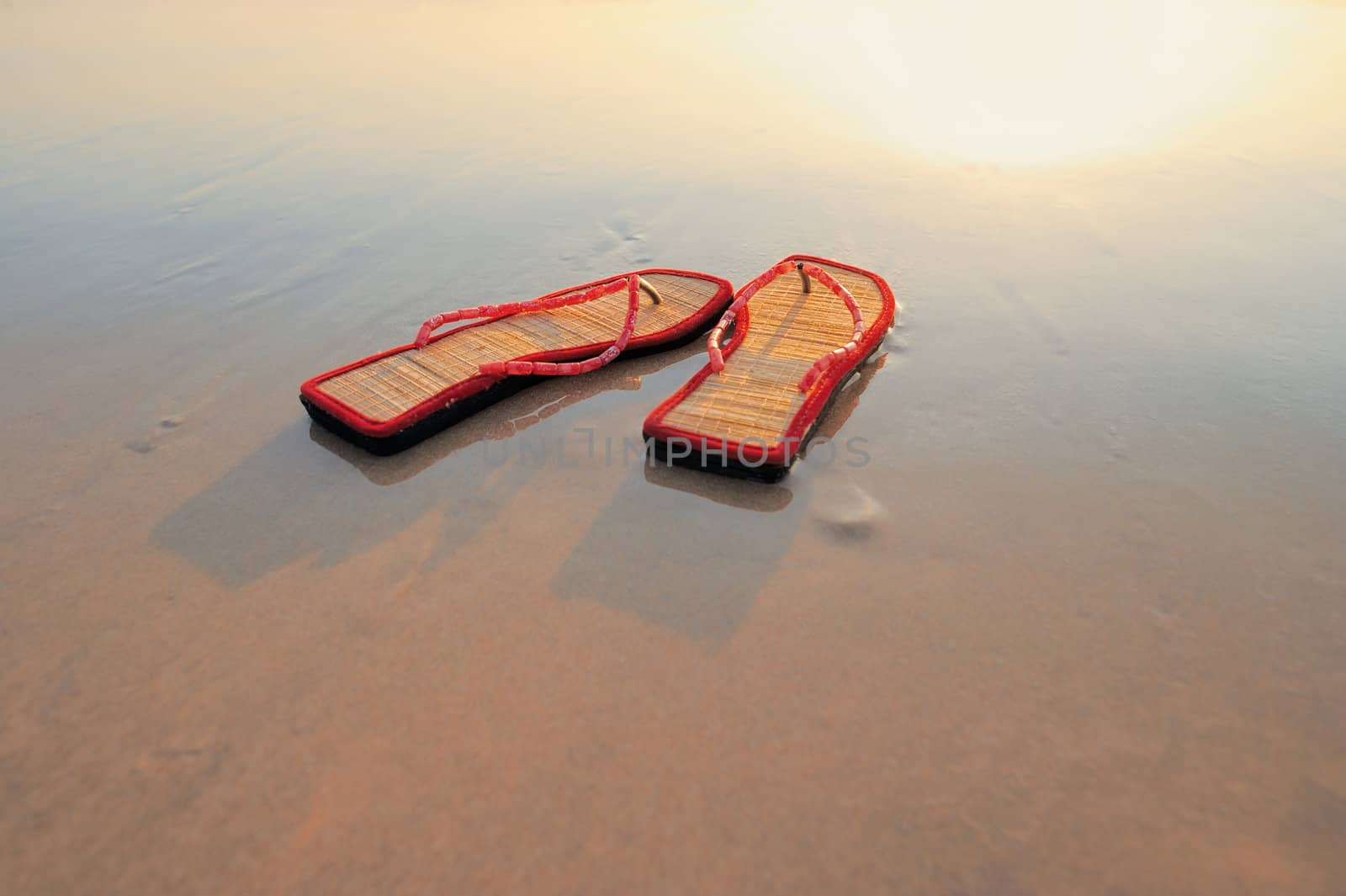Beach sandals on the sandy sea coast