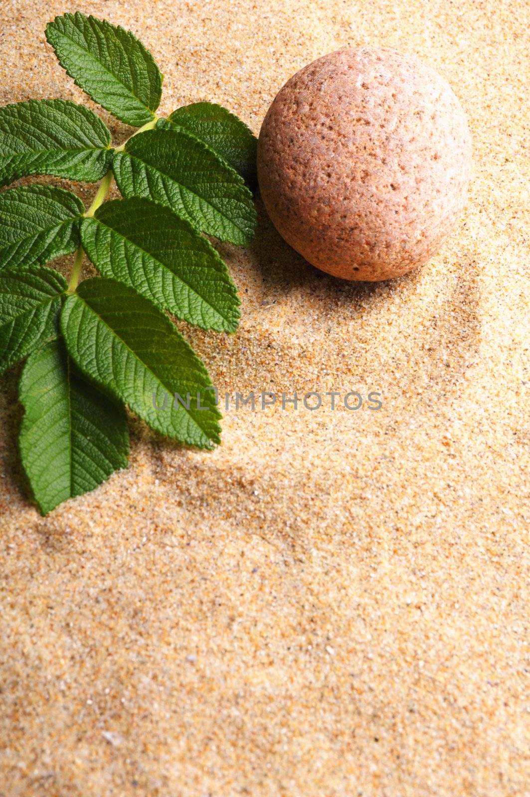 zen stone garden and leaf on sand showing spa concept