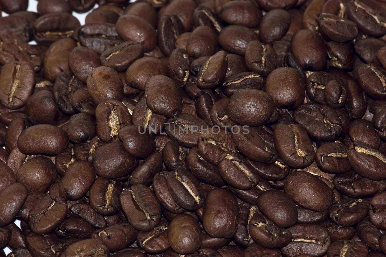 Coffee beans by rusak