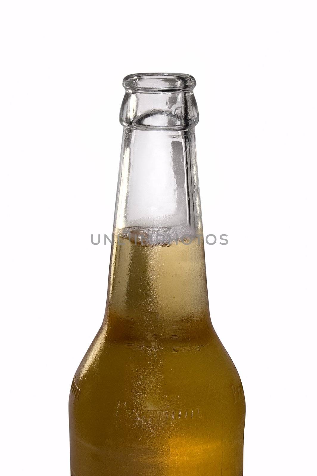 Bottle of beer  by rusak