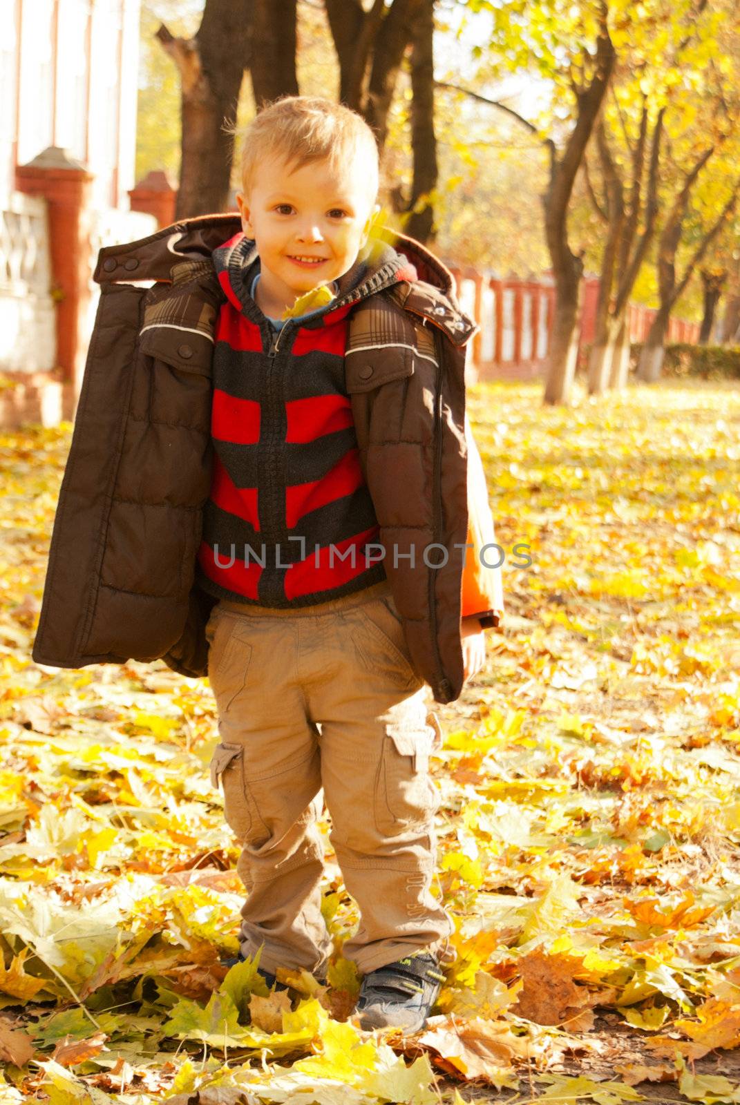 Boy playing with leaves at fall time