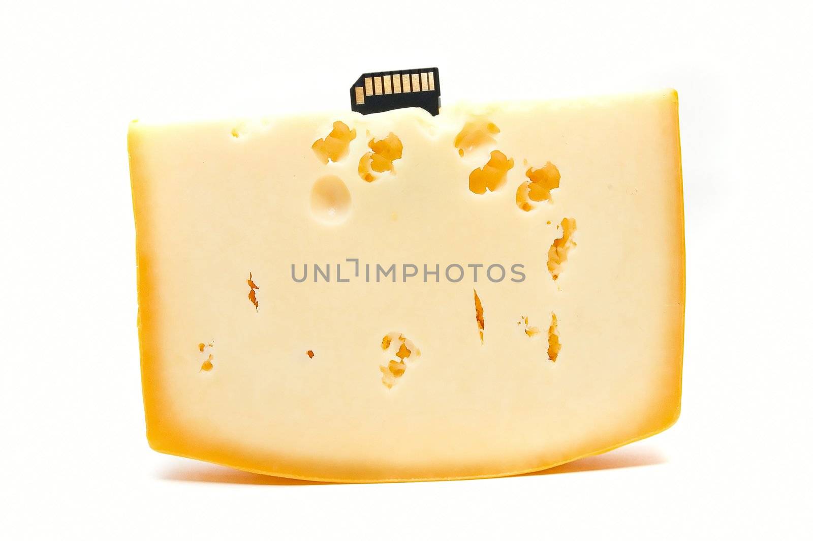 Cheese with flash memory card by rusak